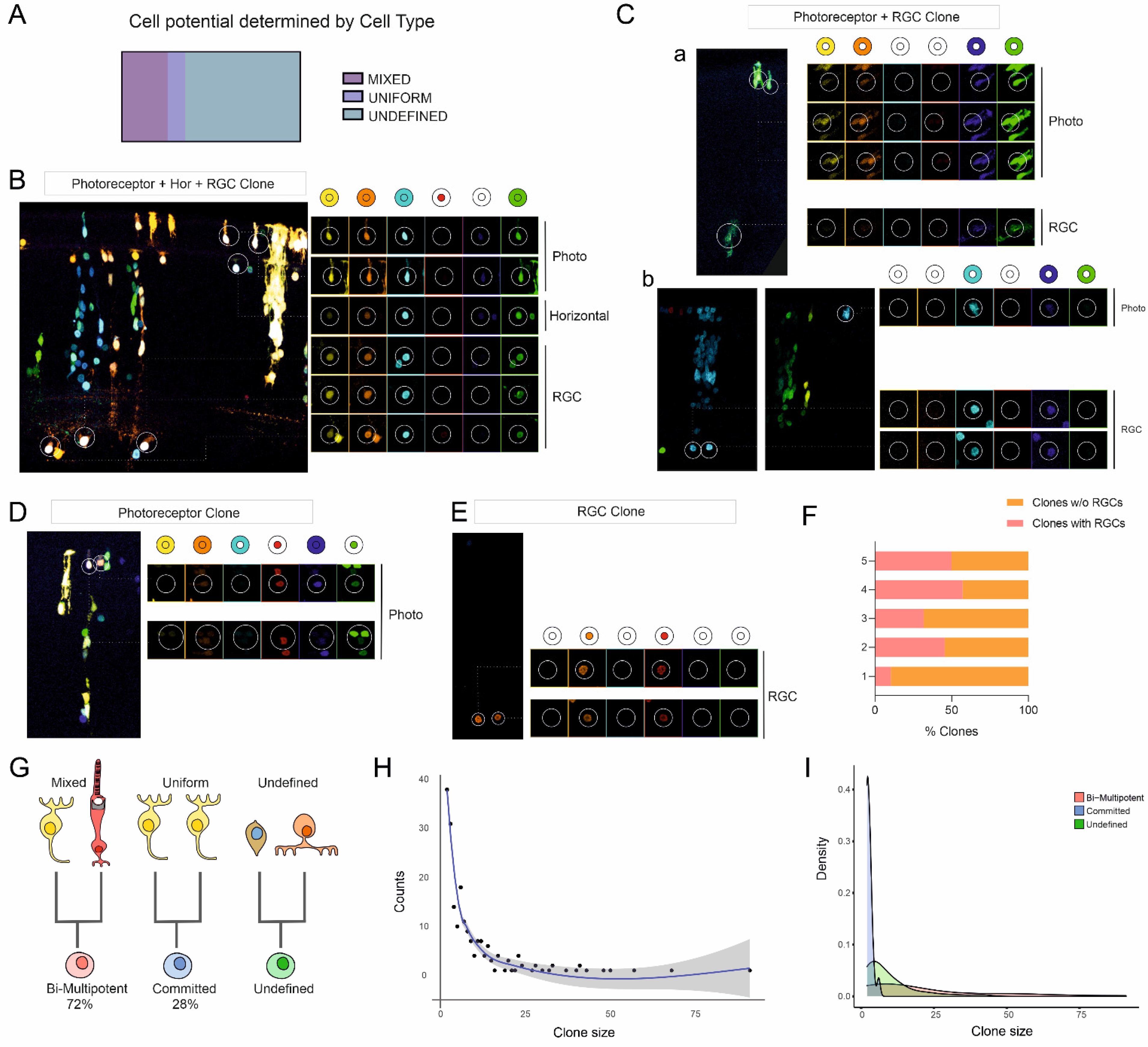 Ijms 23 12388 g004 Ijms 23 12388 g004