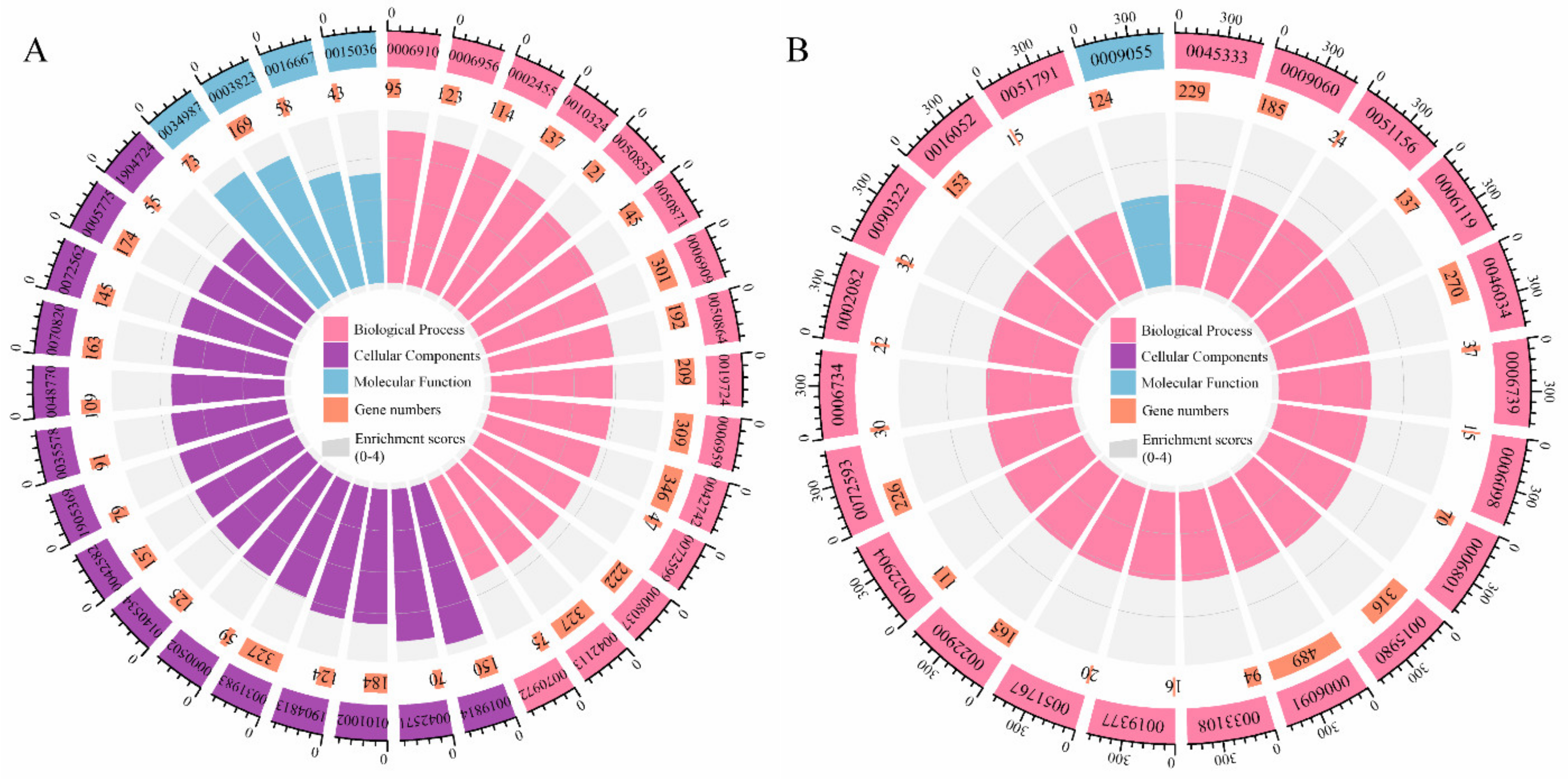 IJMS | Free Full-Text | Reconstructed Genome-Scale Metabolic Model  Characterizes Adaptive Metabolic Flux Changes in Peripheral Blood  Mononuclear Cells in Severe COVID-19 Patients