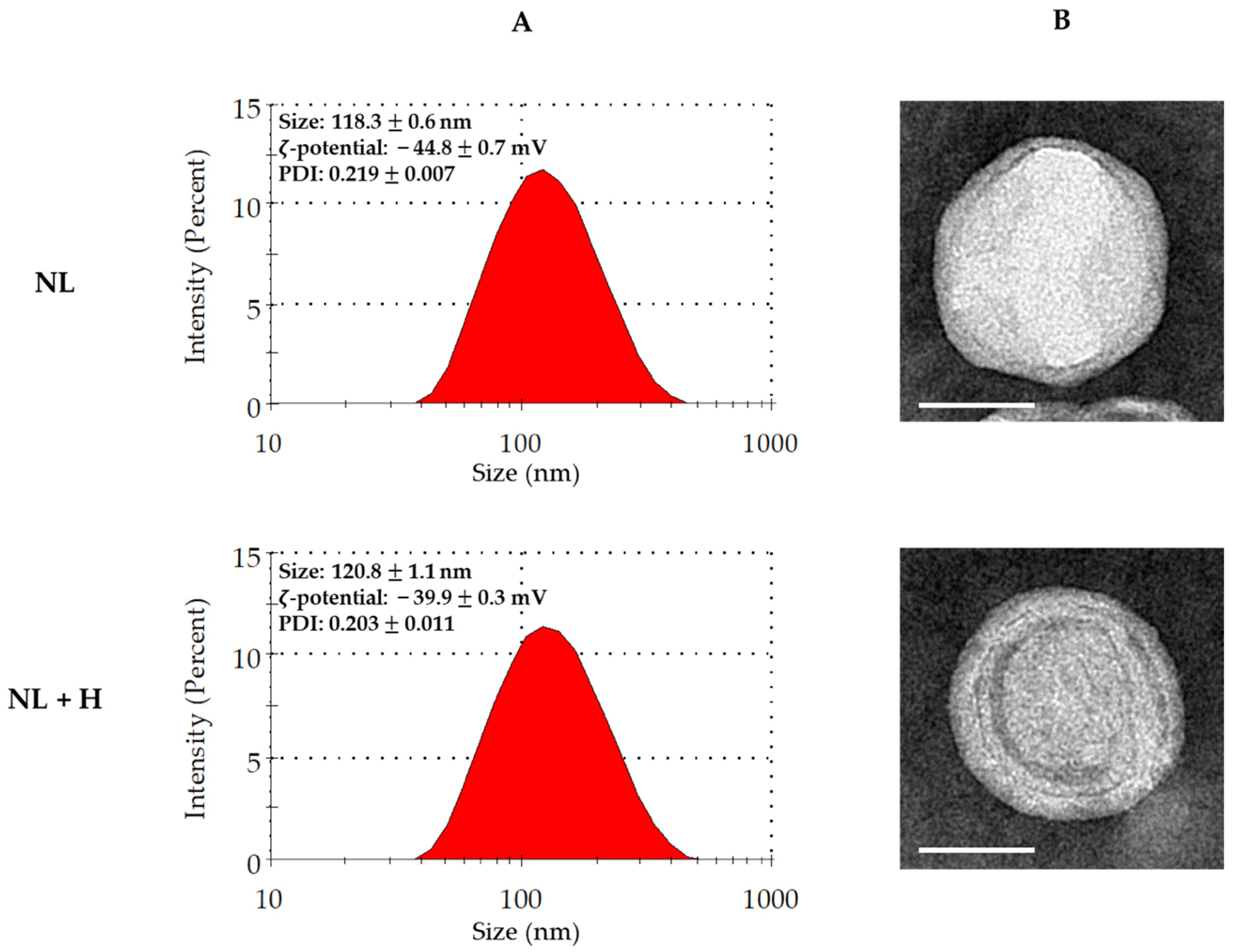 Ijms 23 12423 g002 Ijms 23 12423 g002