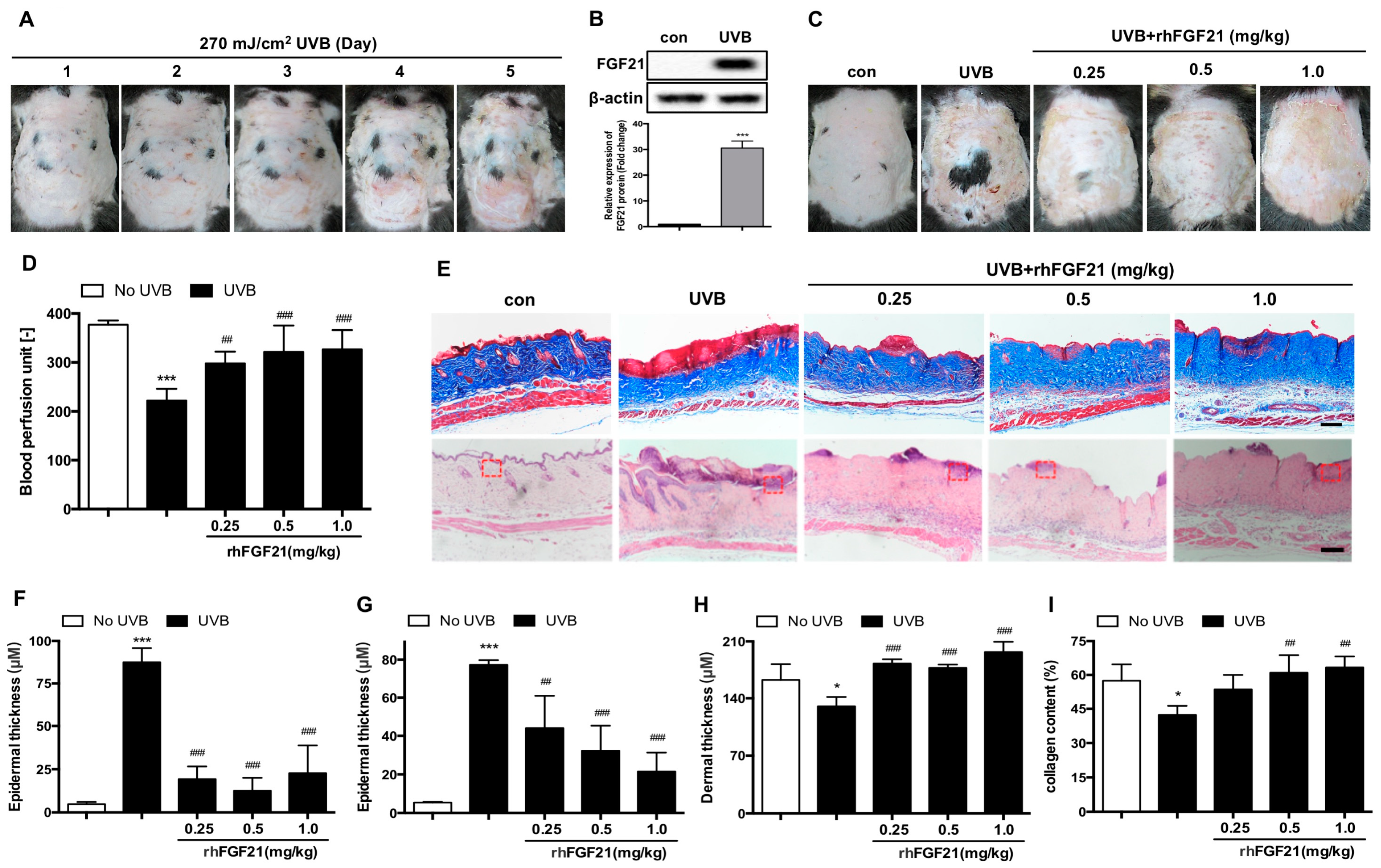 Ijms 23 12466 g001 Ijms 23 12466 g001
