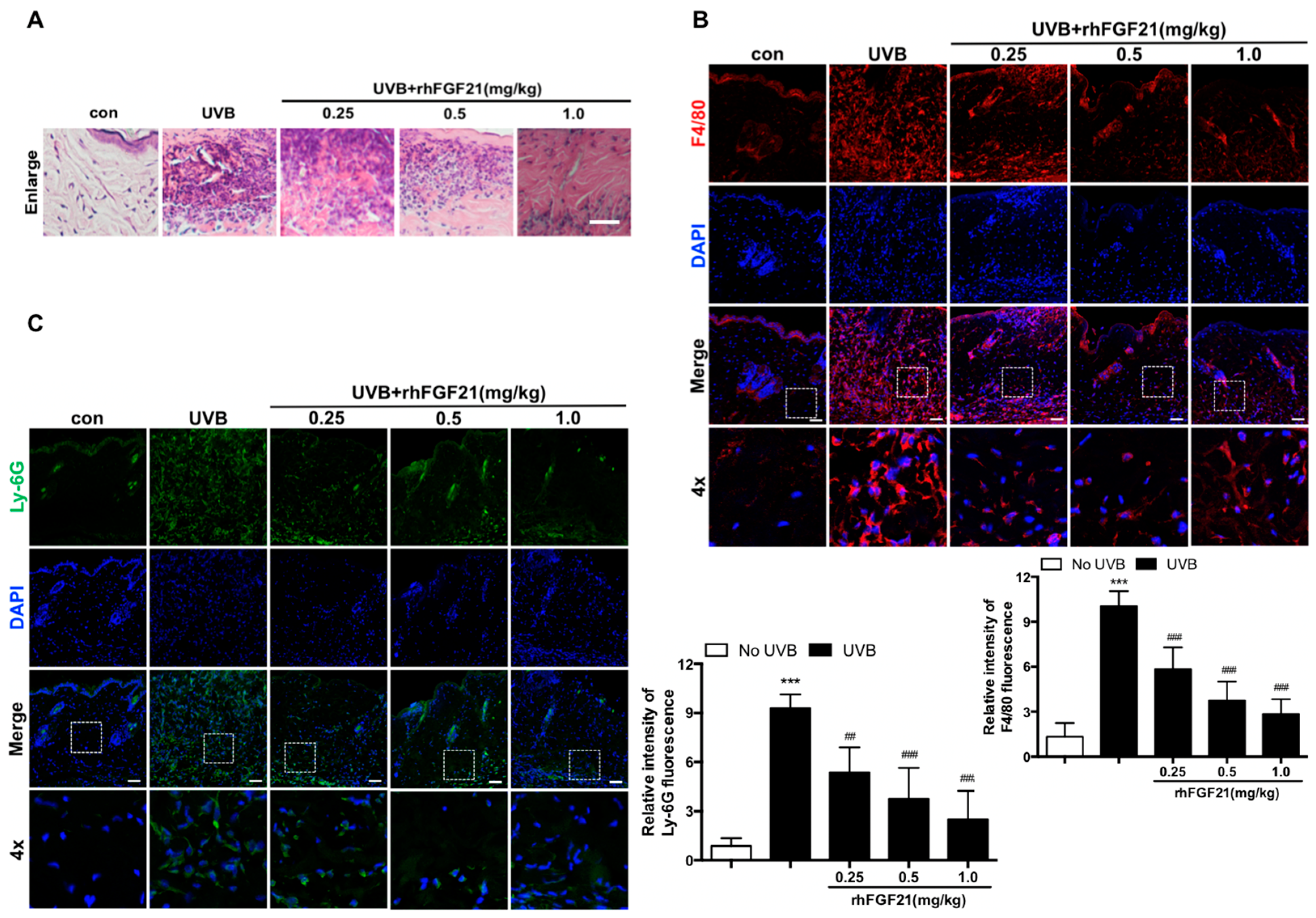 Ijms 23 12466 g002 Ijms 23 12466 g002