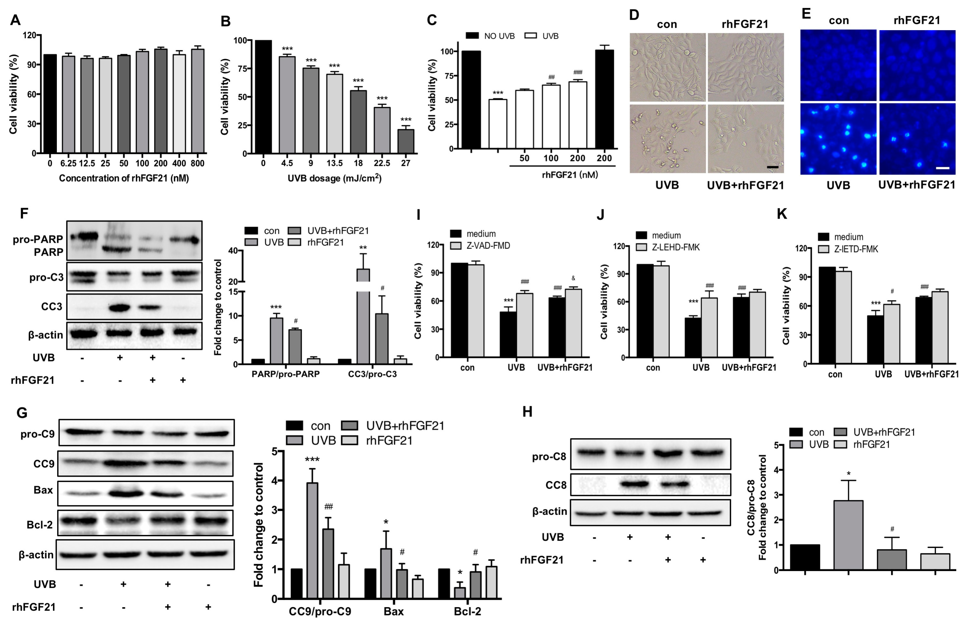 Ijms 23 12466 g004 Ijms 23 12466 g004