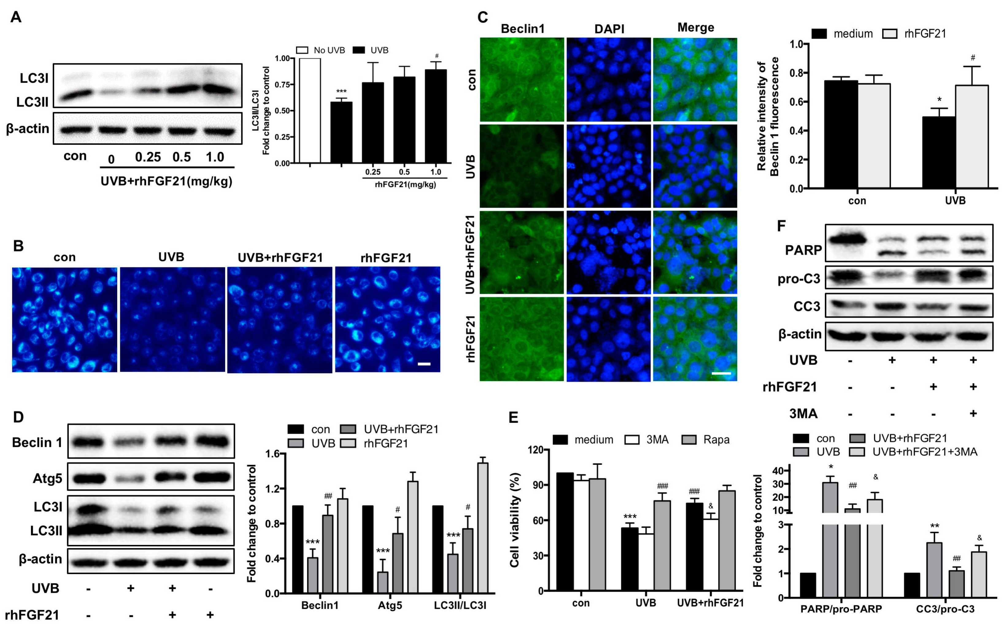 Ijms 23 12466 g005 Ijms 23 12466 g005