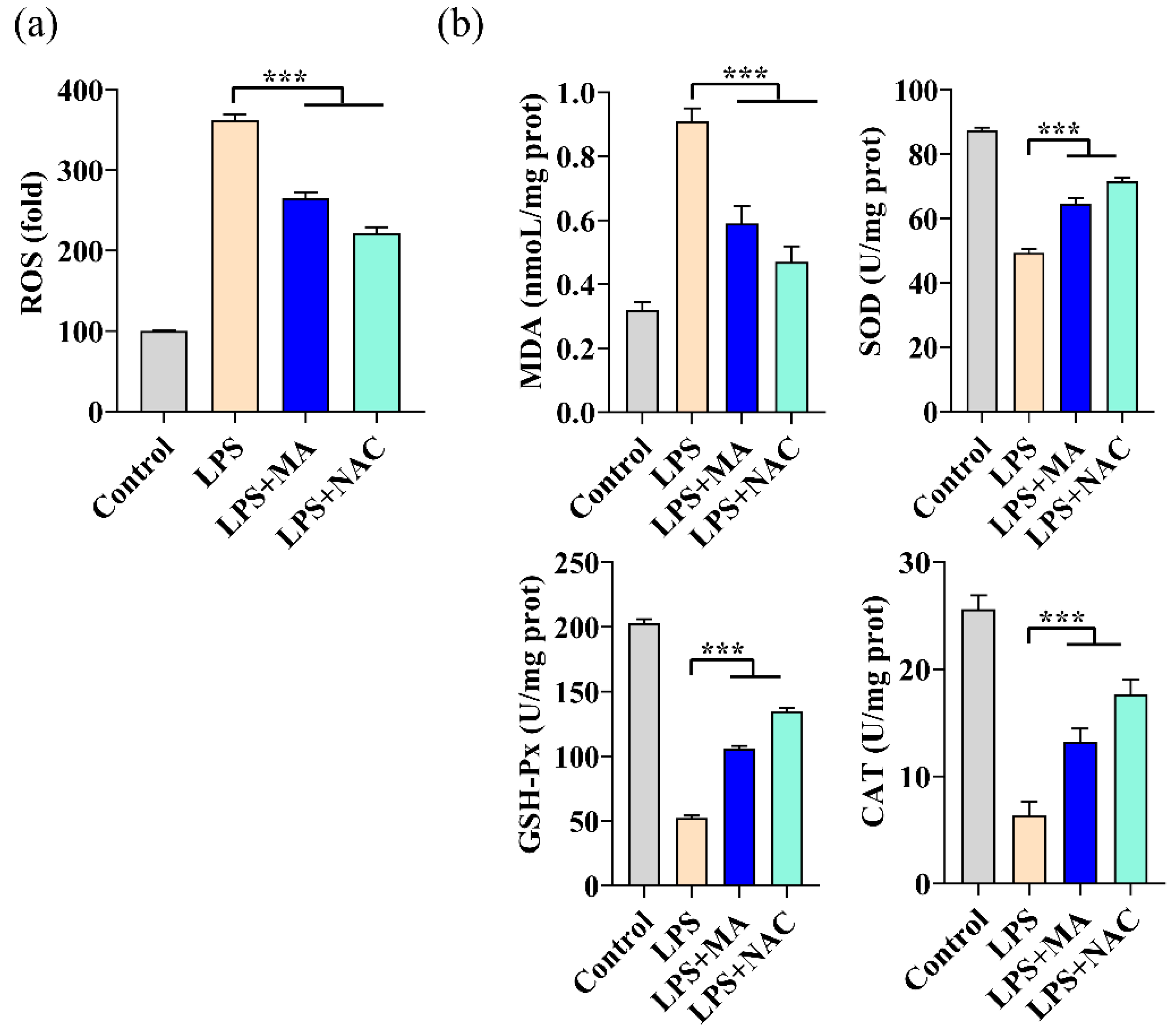 Ijms 23 12477 g003 Ijms 23 12477 g003