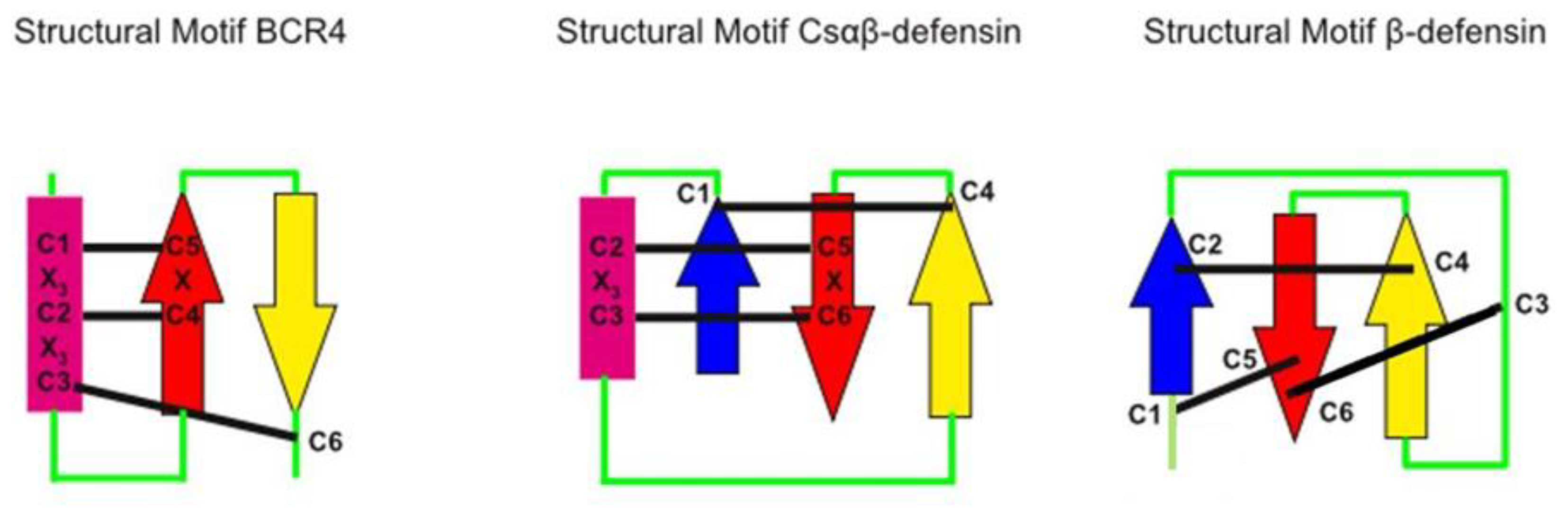 Ijms 23 12480 g007 Ijms 23 12480 g007