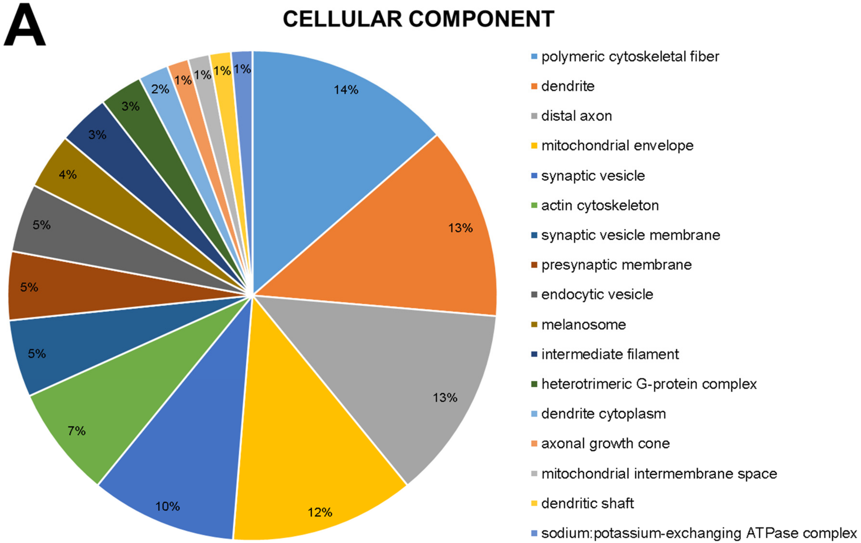 Ijms 23 12523 g001a Ijms 23 12523 g001a