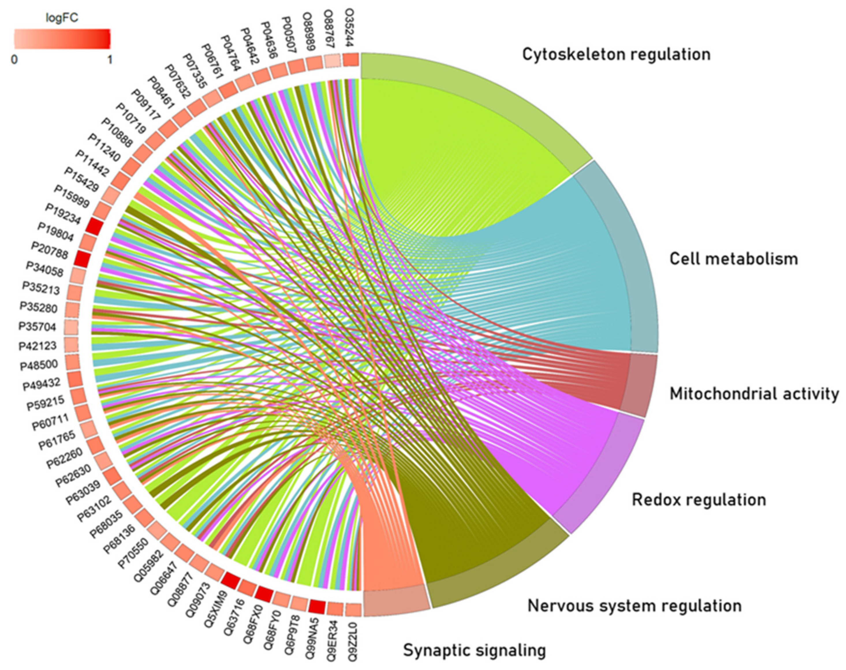Ijms 23 12523 g002 Ijms 23 12523 g002