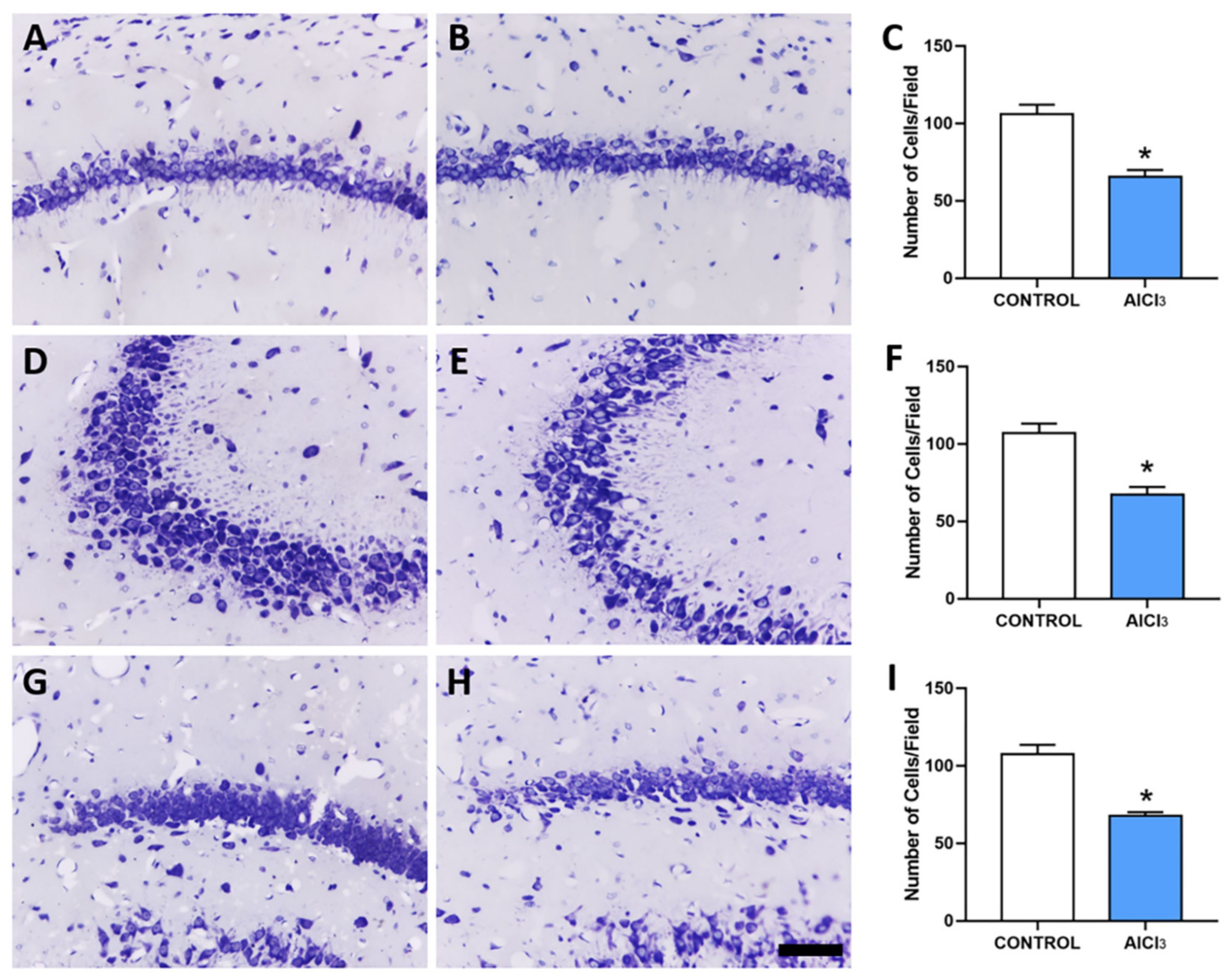 Ijms 23 12523 g003 Ijms 23 12523 g003
