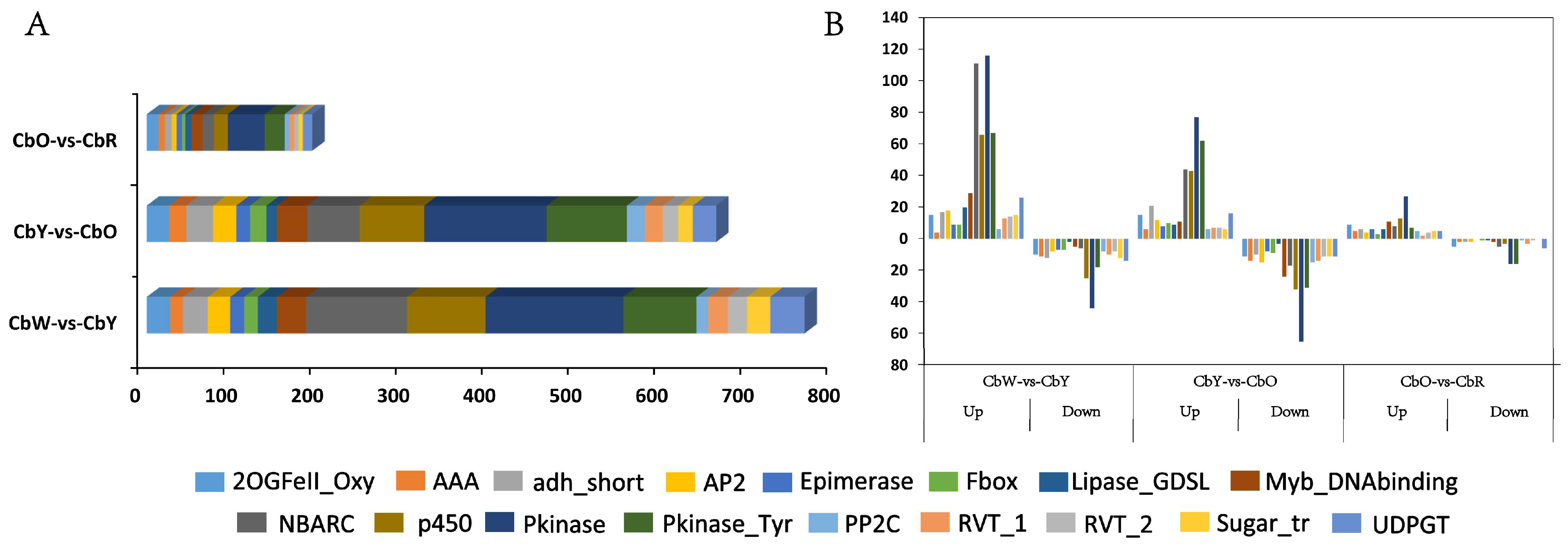 Ijms 23 12524 g004 Ijms 23 12524 g004