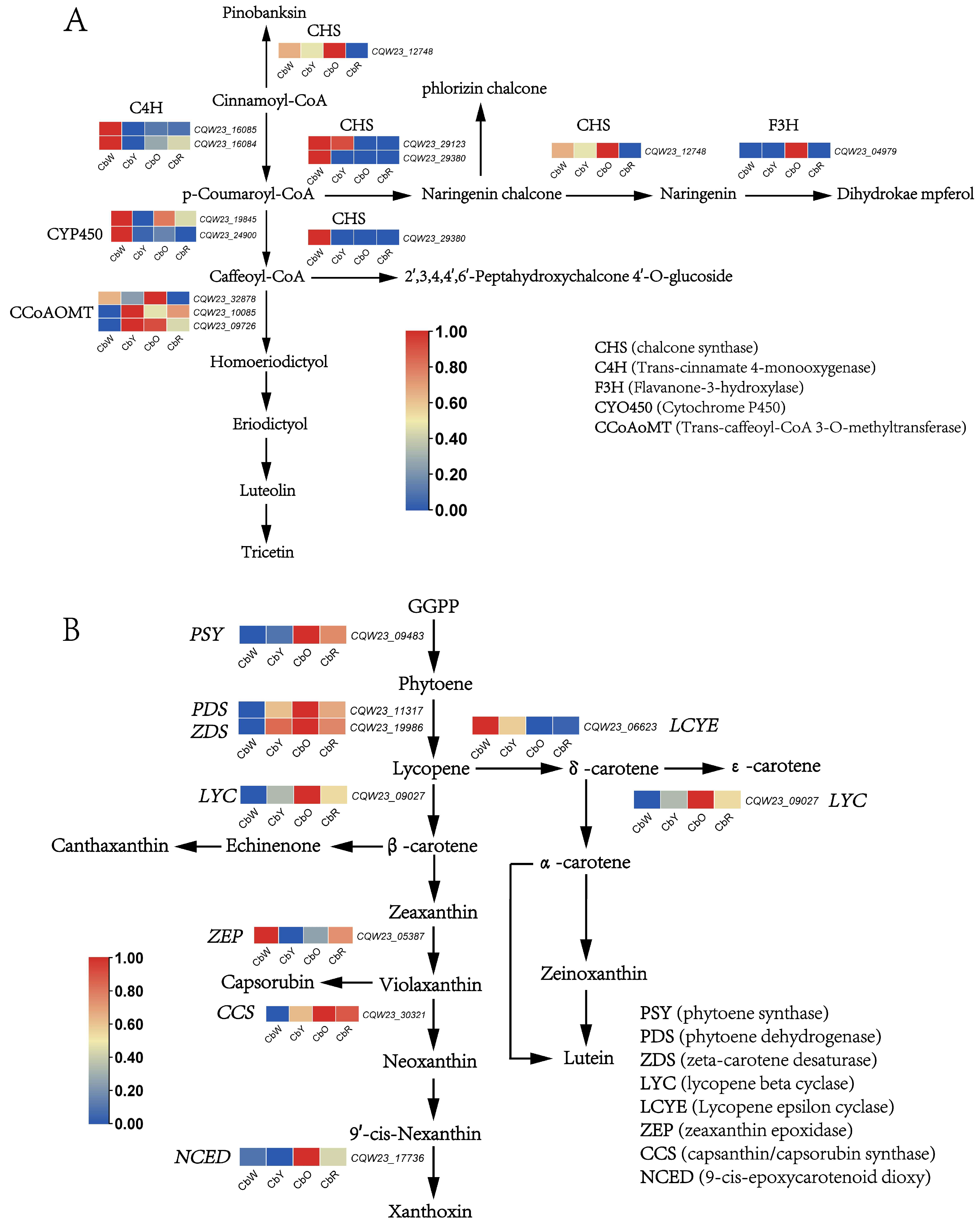 Ijms 23 12524 g008 Ijms 23 12524 g008