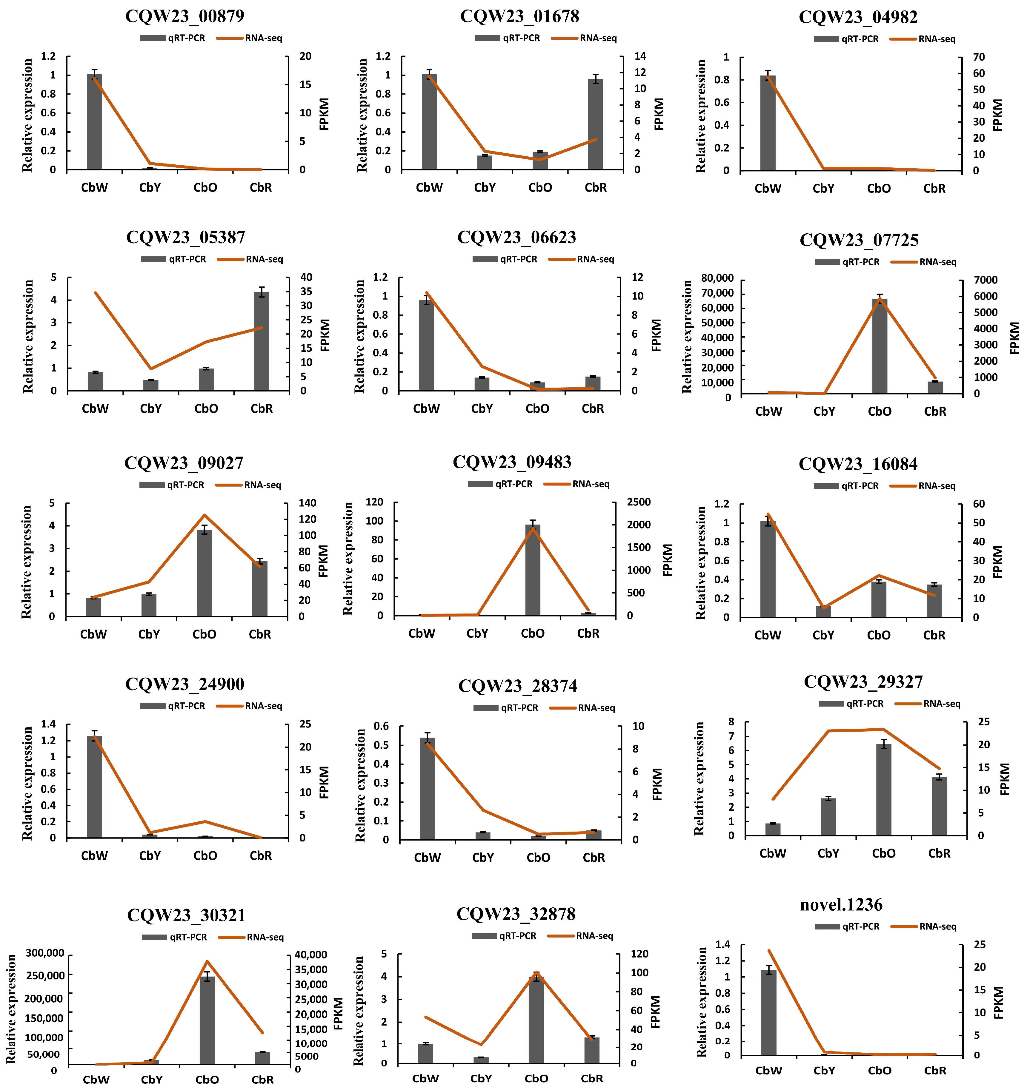 Ijms 23 12524 g009 Ijms 23 12524 g009