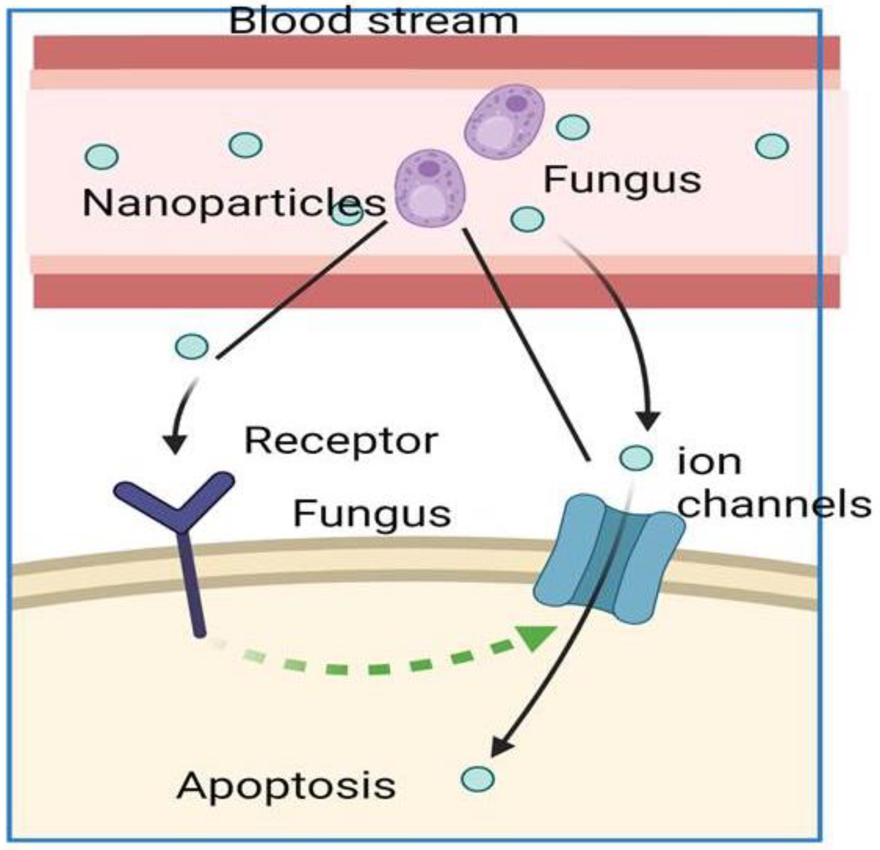 Ijms 23 12526 g002 Ijms 23 12526 g002