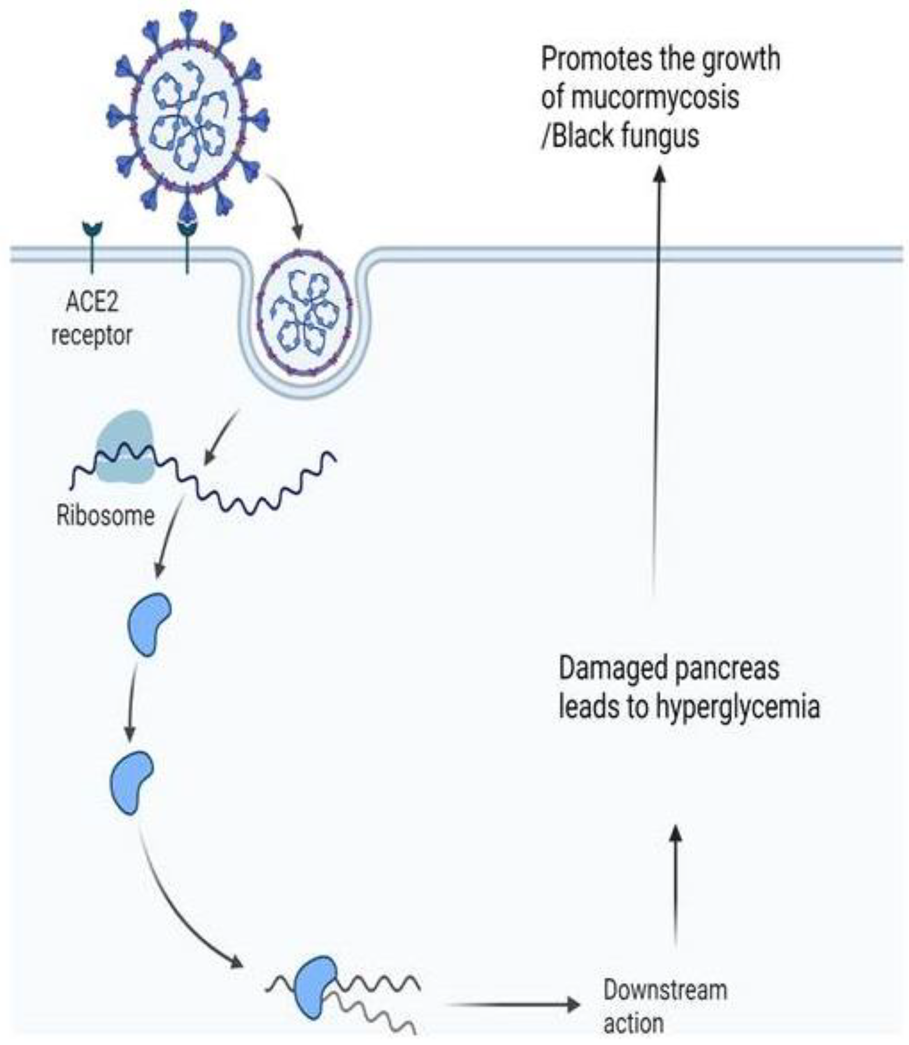 Ijms 23 12526 g003 Ijms 23 12526 g003