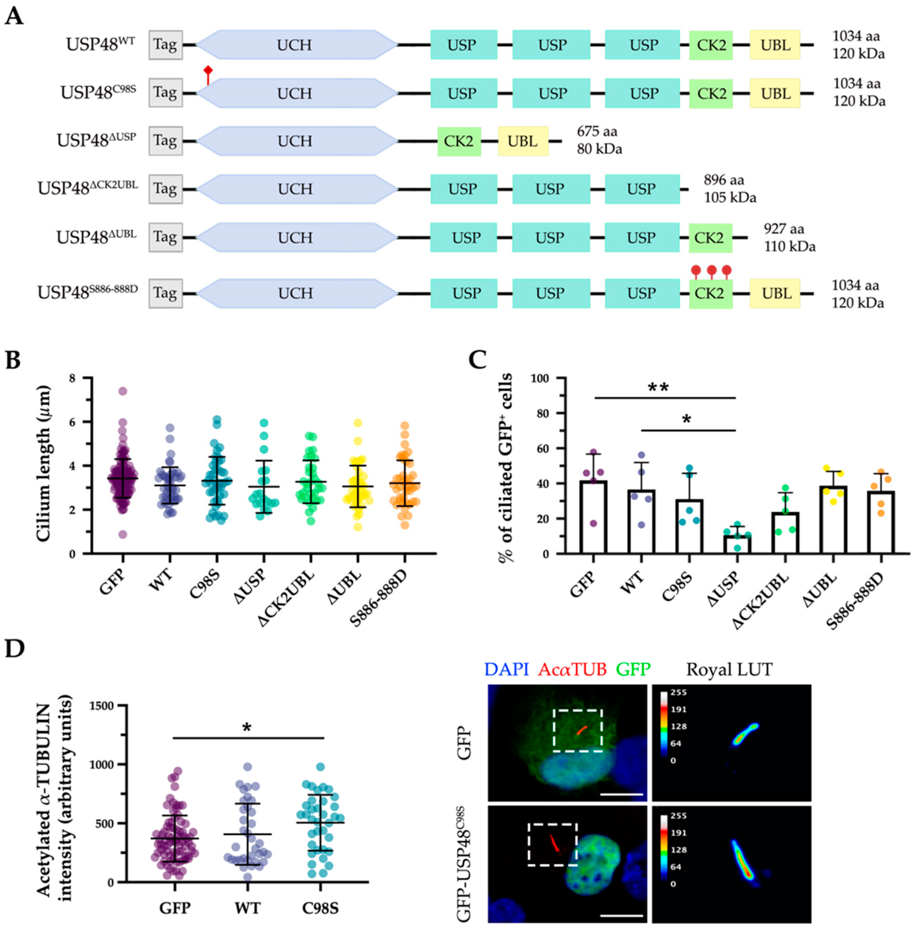 Ijms 23 12527 g003 Ijms 23 12527 g003