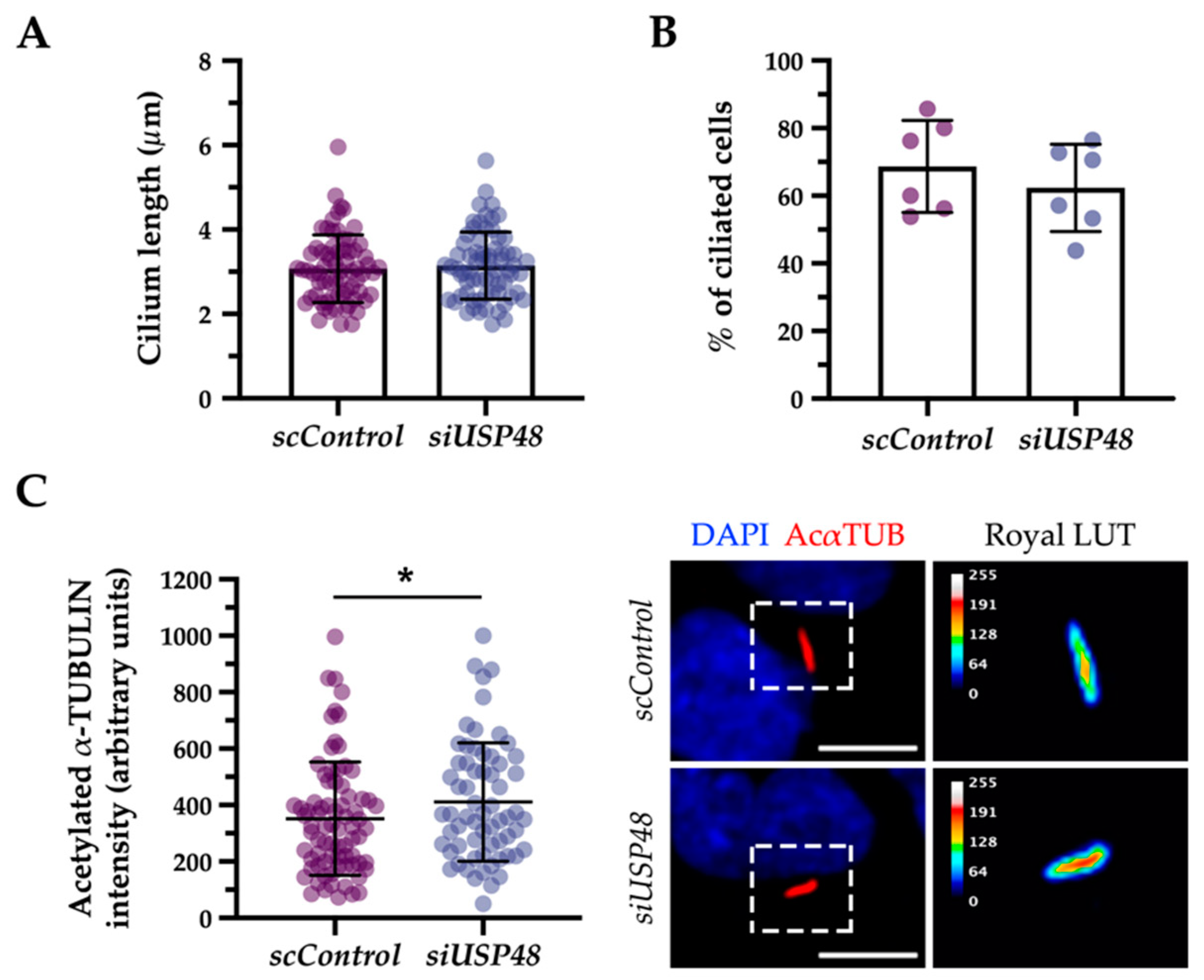 Ijms 23 12527 g004 Ijms 23 12527 g004