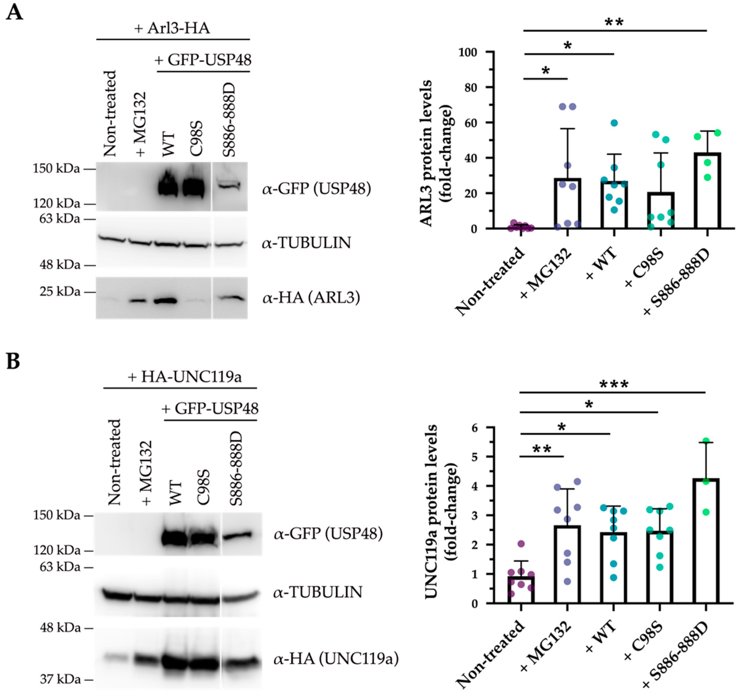 Ijms 23 12527 g006 Ijms 23 12527 g006