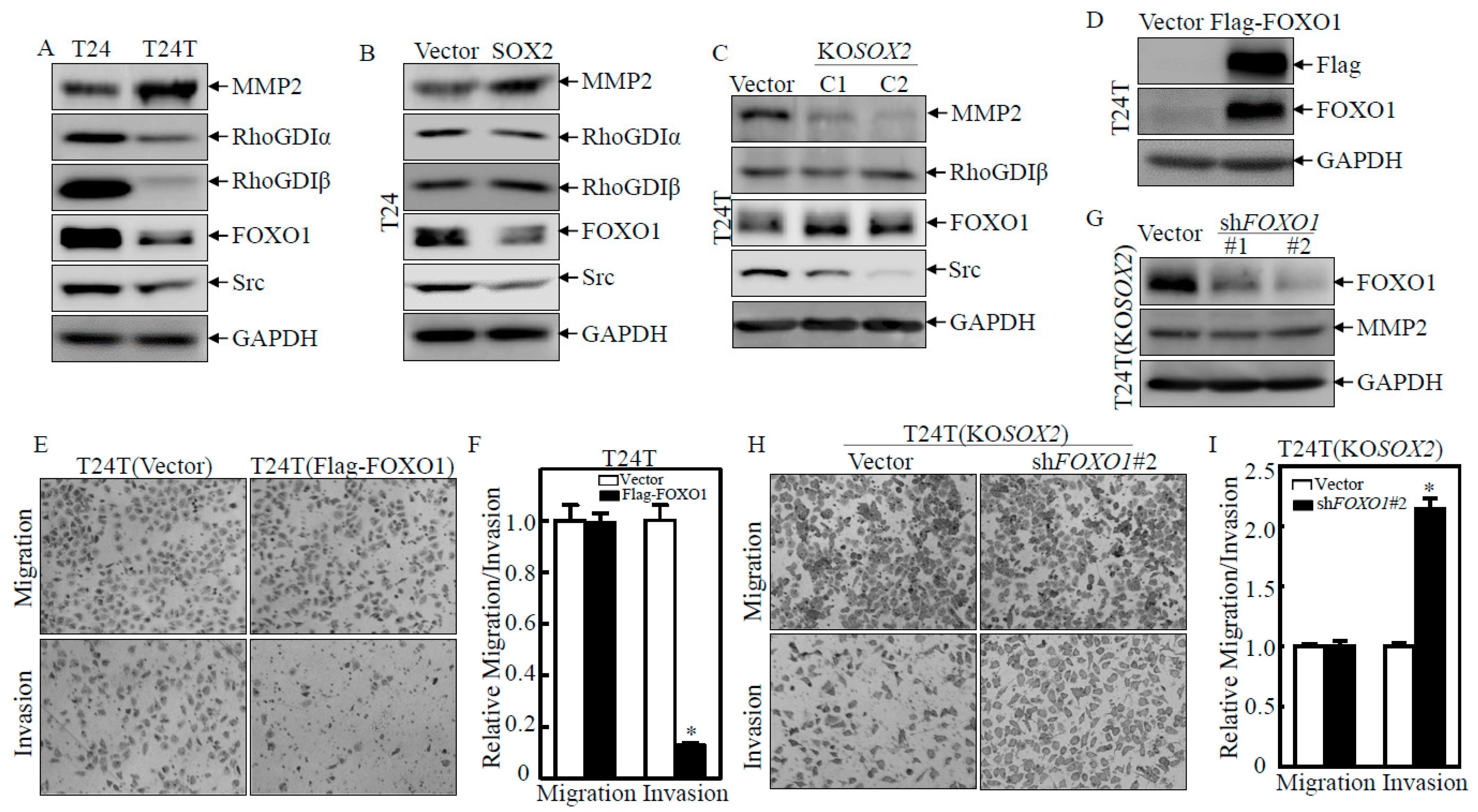 Ijms 23 12532 g002 Ijms 23 12532 g002