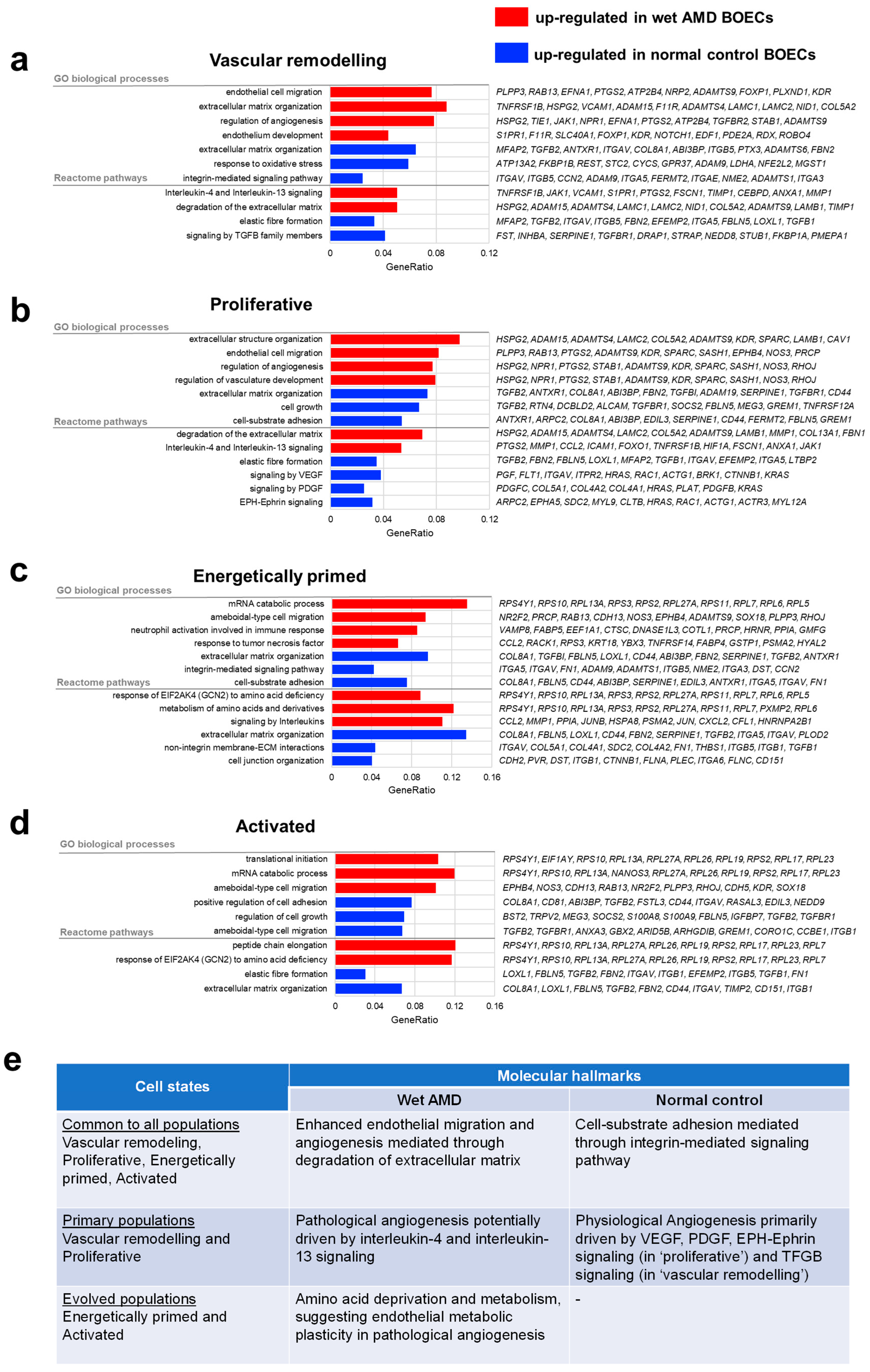 Ijms 23 12549 g002 Ijms 23 12549 g002