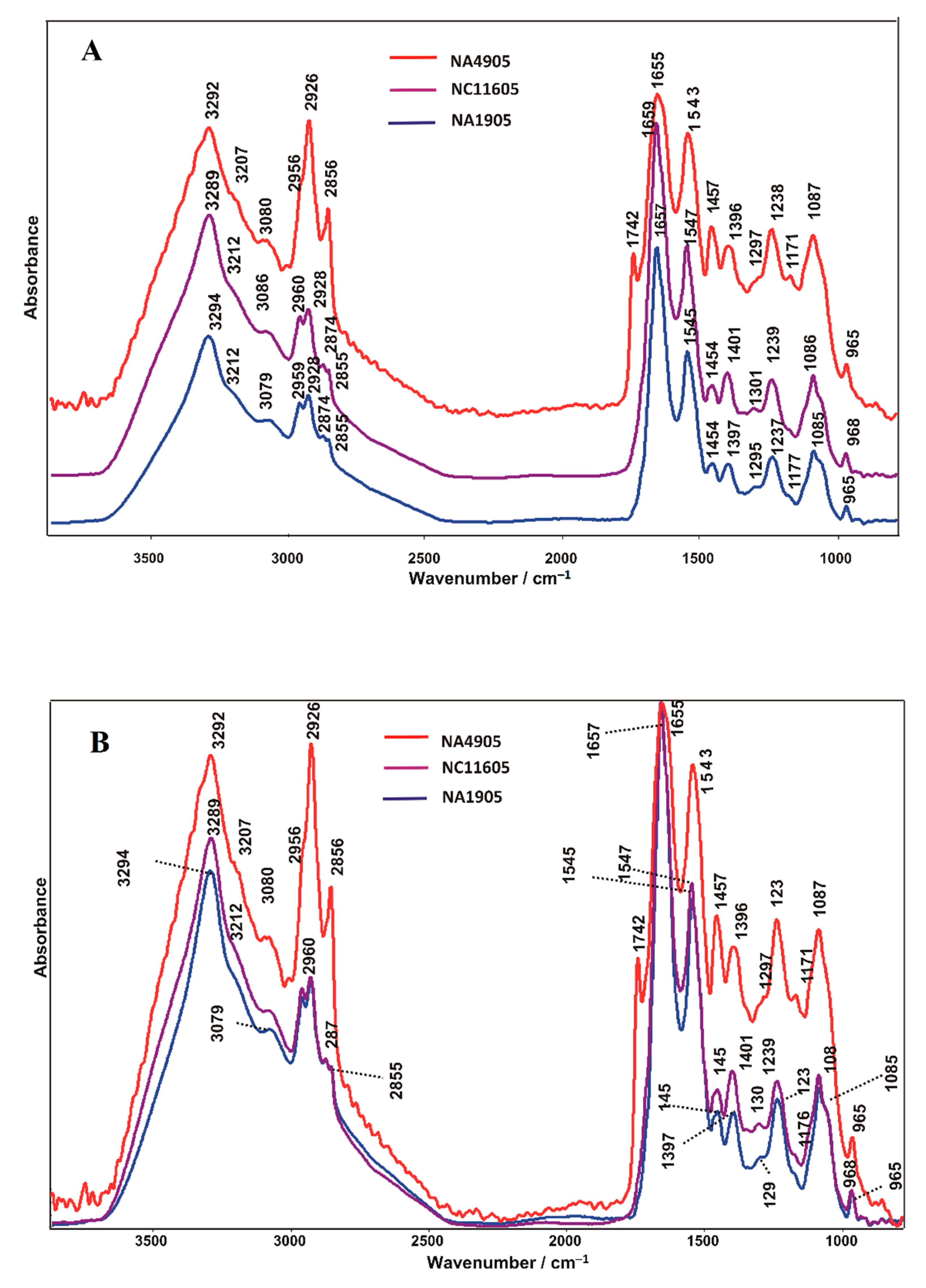 Ijms 23 12551 g003 Ijms 23 12551 g003