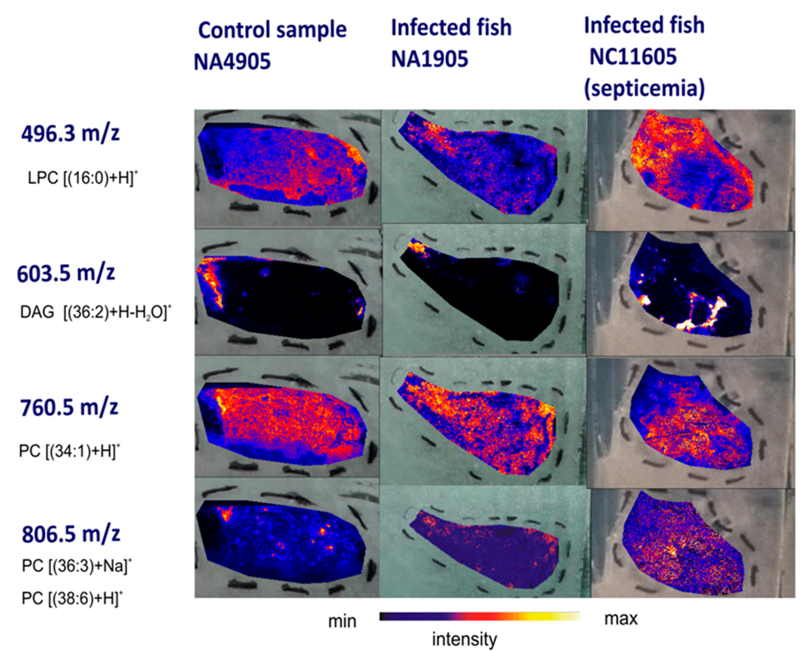 Ijms 23 12551 g007 Ijms 23 12551 g007