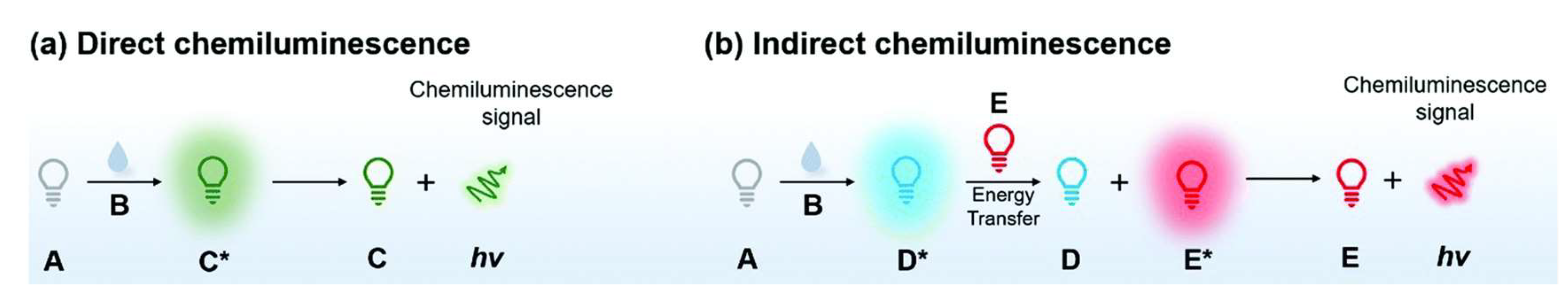 Ijms 23 12556 g003 Ijms 23 12556 g003