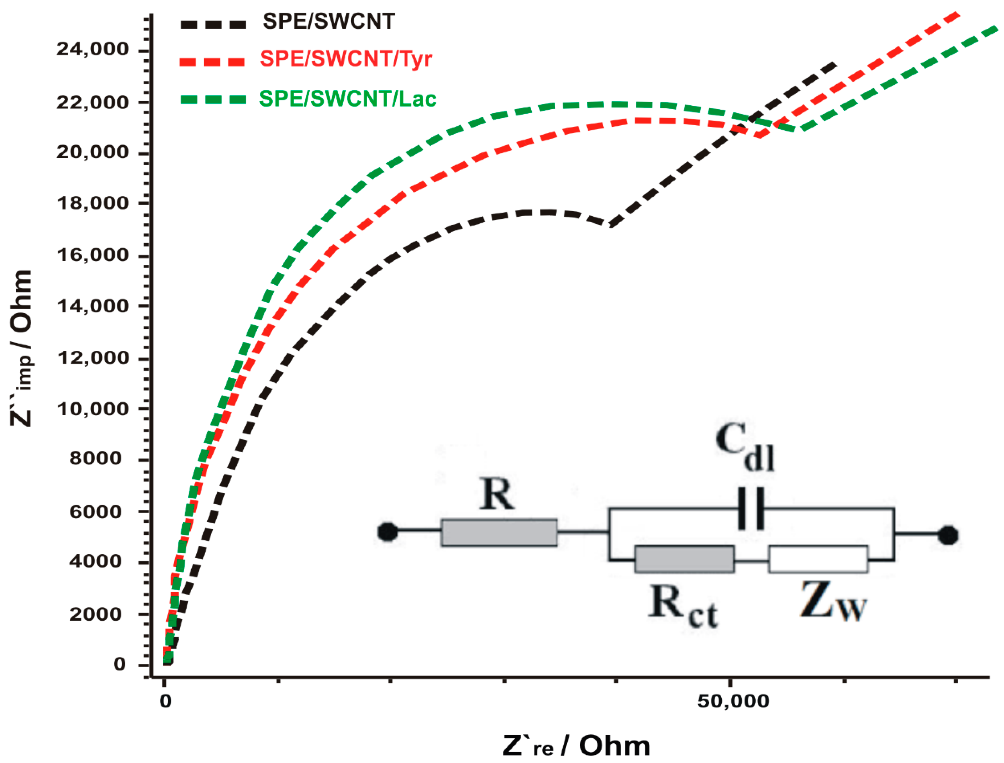 Ijms 23 12569 g002 Ijms 23 12569 g002