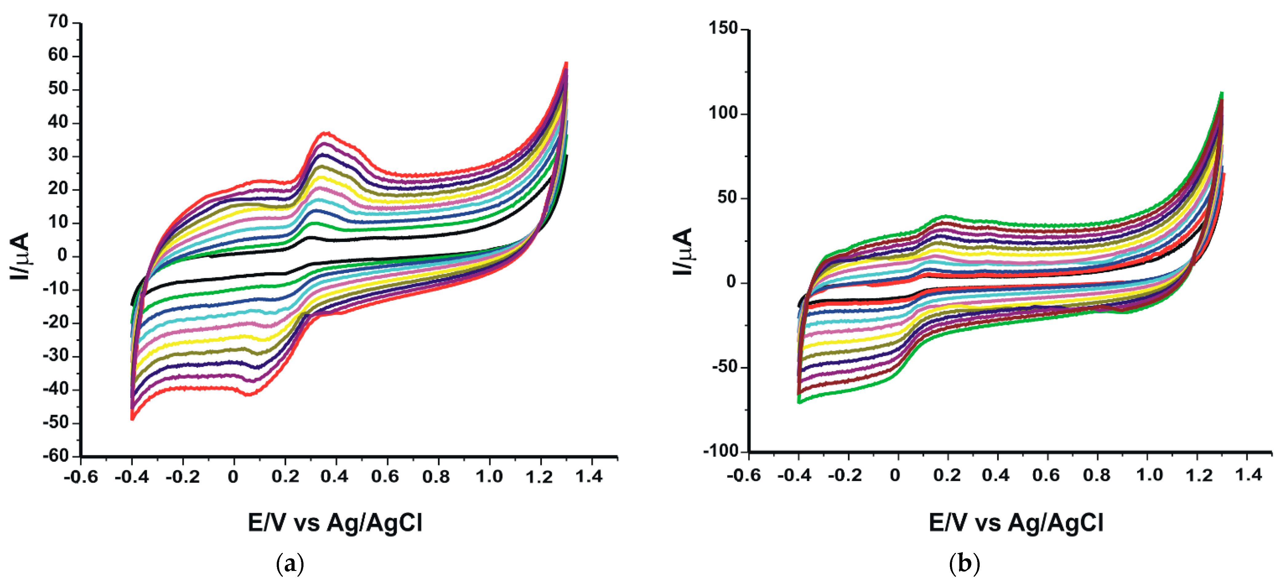 Ijms 23 12569 g005 Ijms 23 12569 g005
