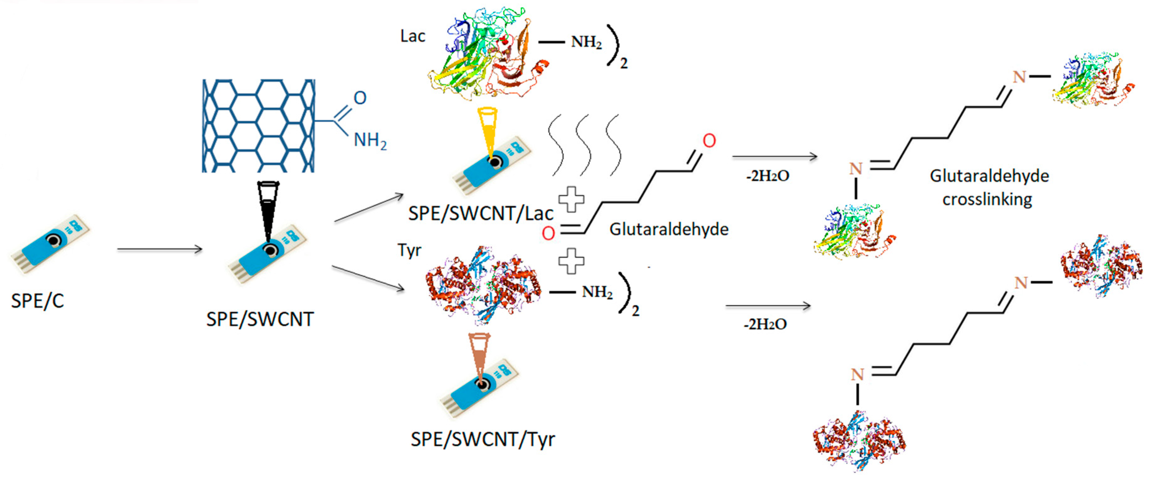 Ijms 23 12569 g011 Ijms 23 12569 g011