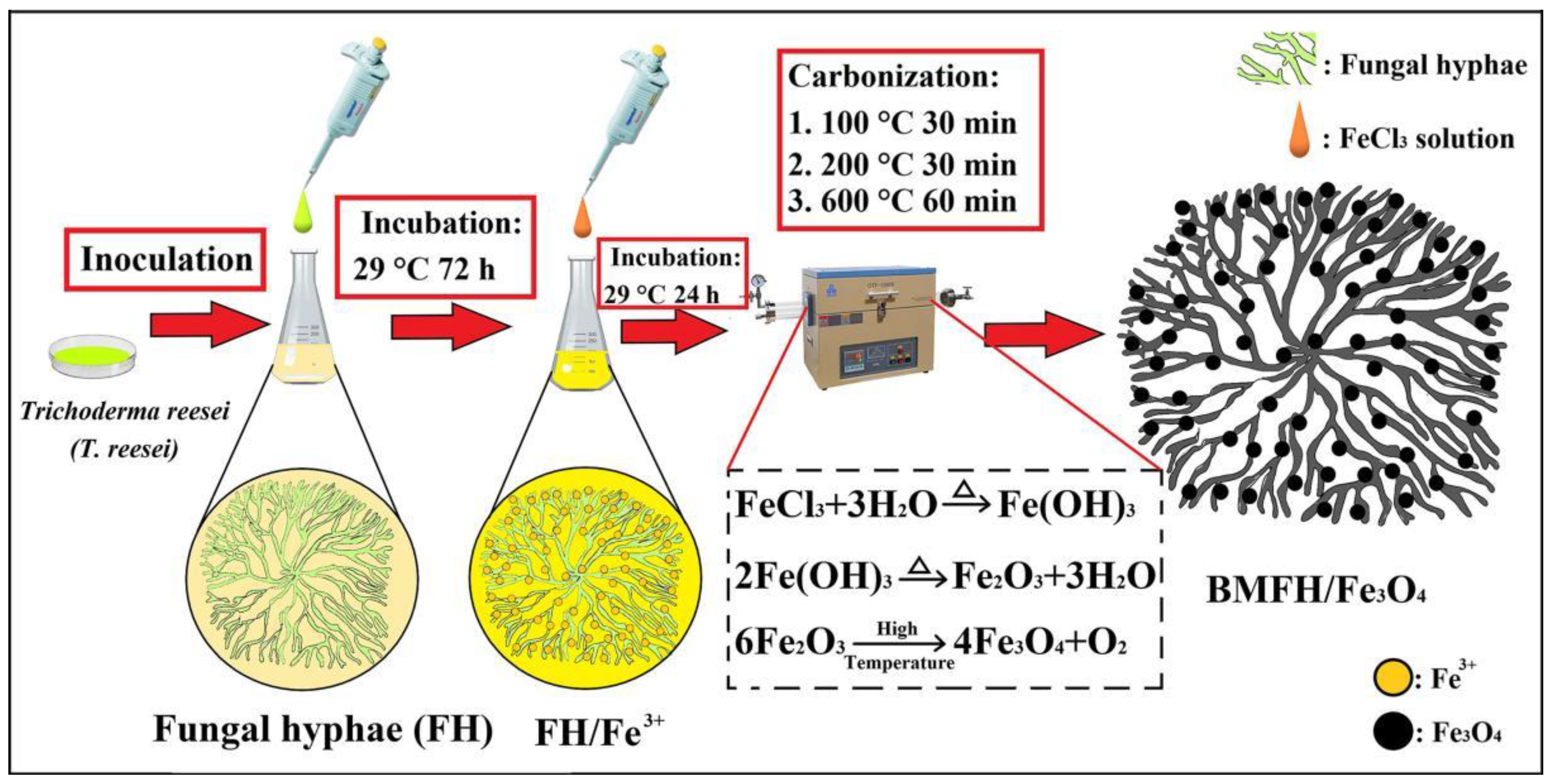 Ijms 23 12579 sch001