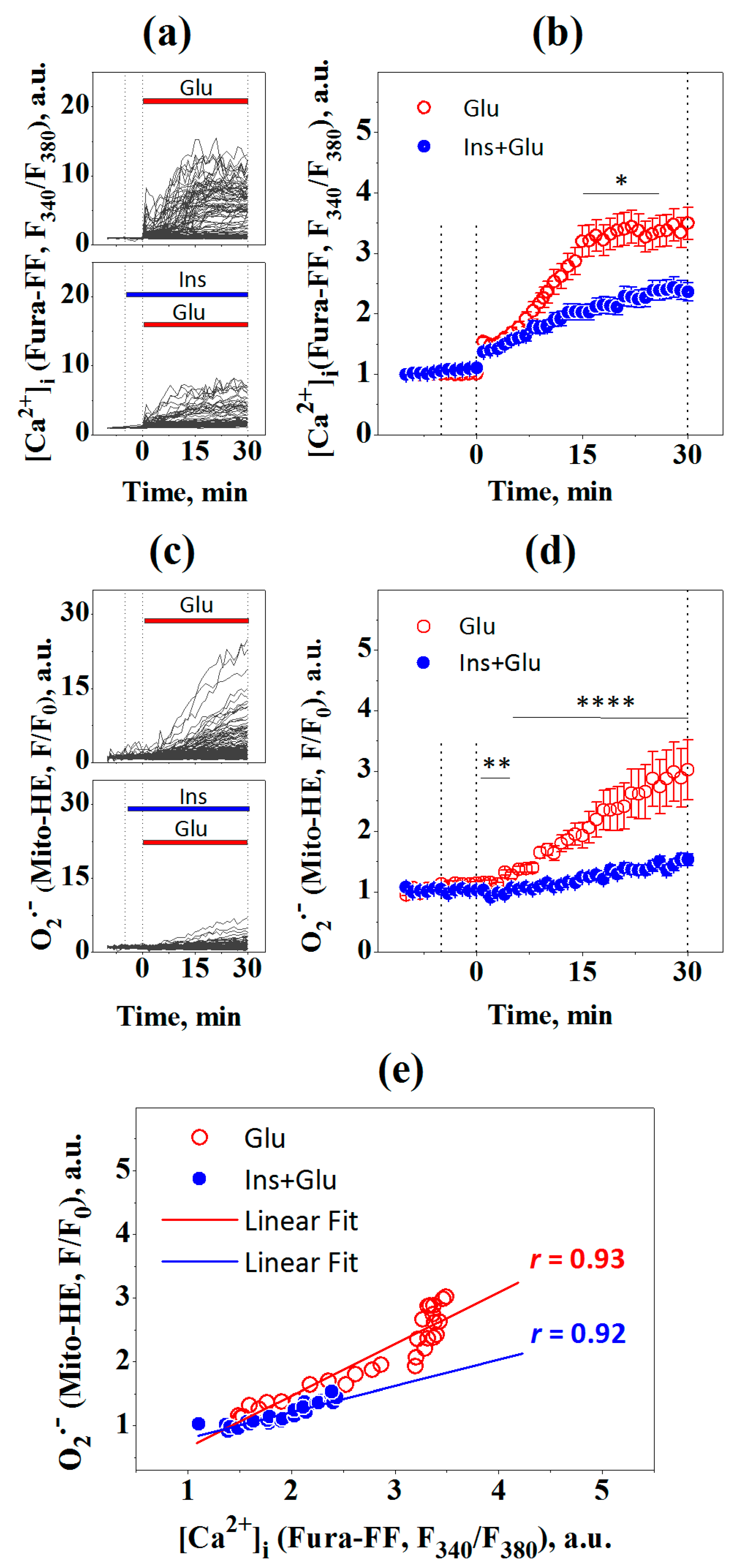 Ijms 23 12593 g003 Ijms 23 12593 g003