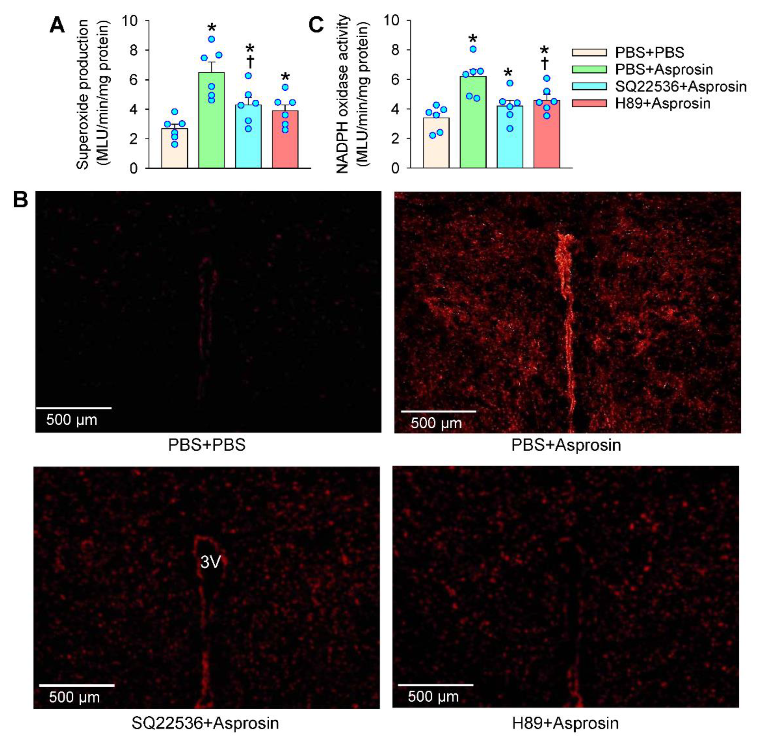 Ijms 23 12595 g006 Ijms 23 12595 g006