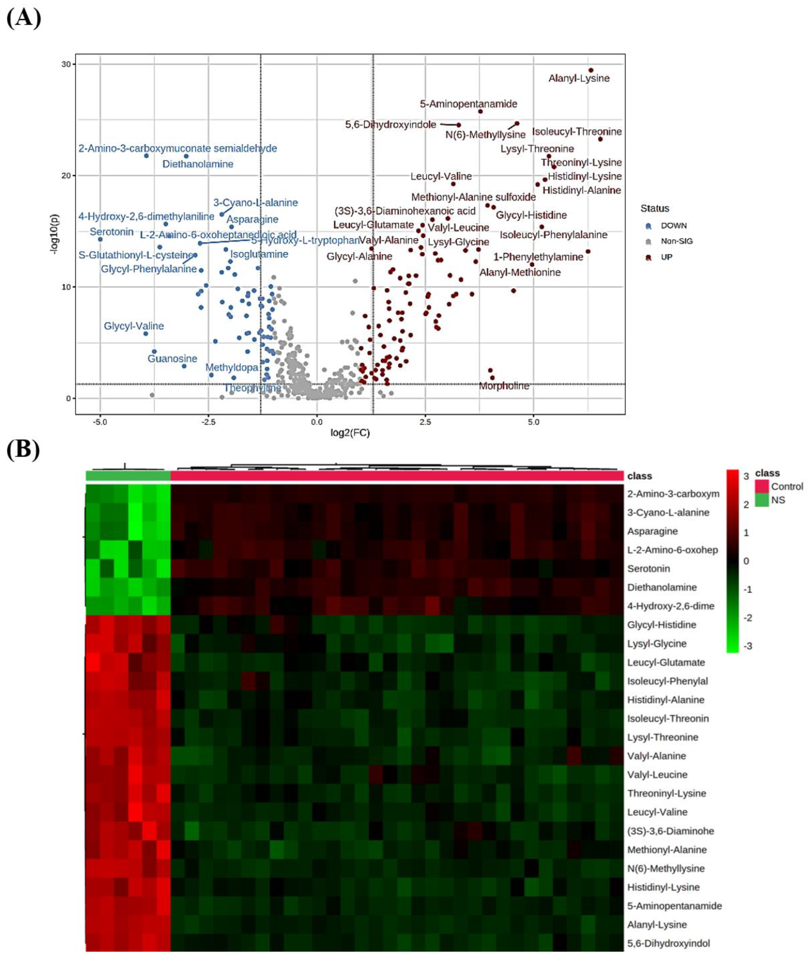 Ijms 23 12614 g002 Ijms 23 12614 g002