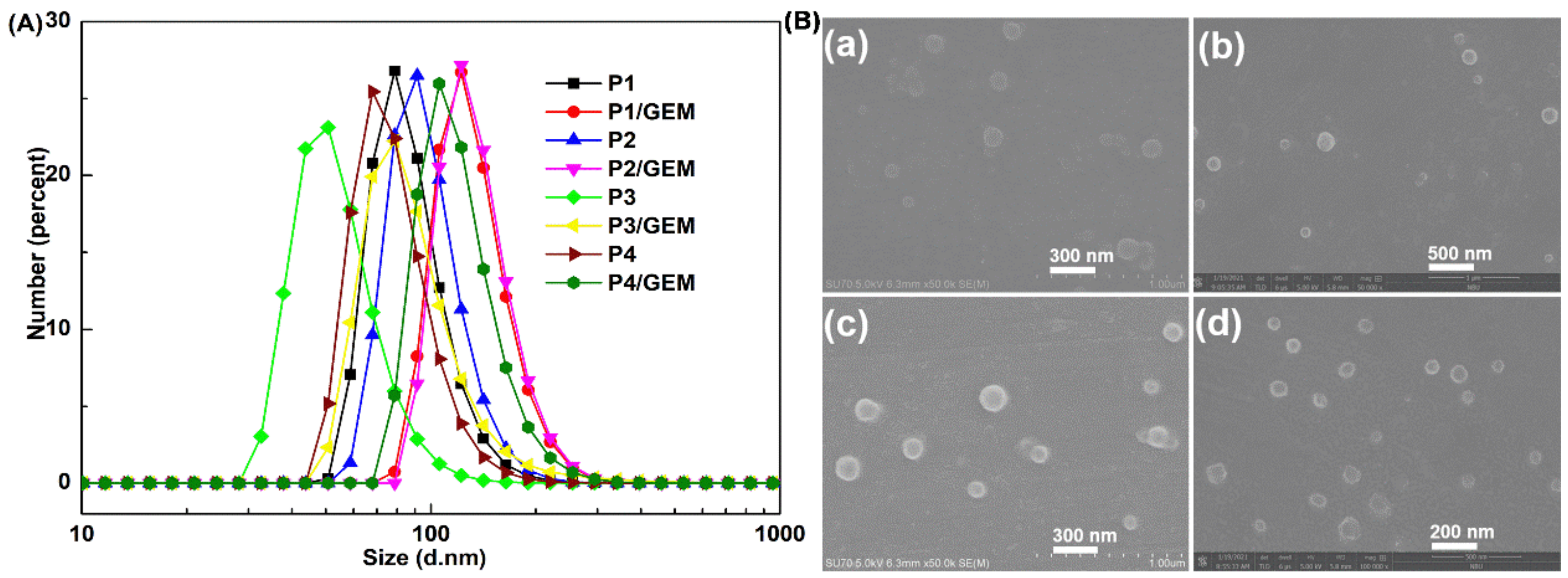 Ijms 23 12624 g002 Ijms 23 12624 g002