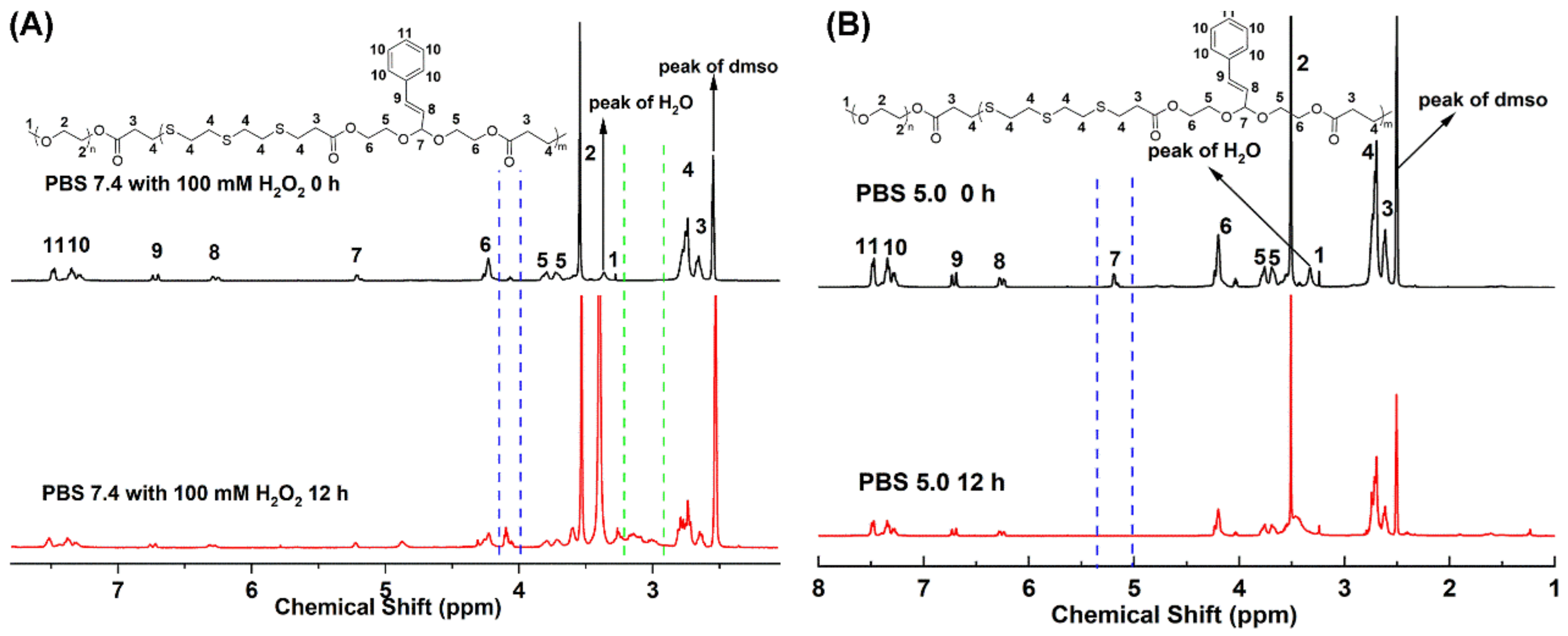 Ijms 23 12624 g004 Ijms 23 12624 g004