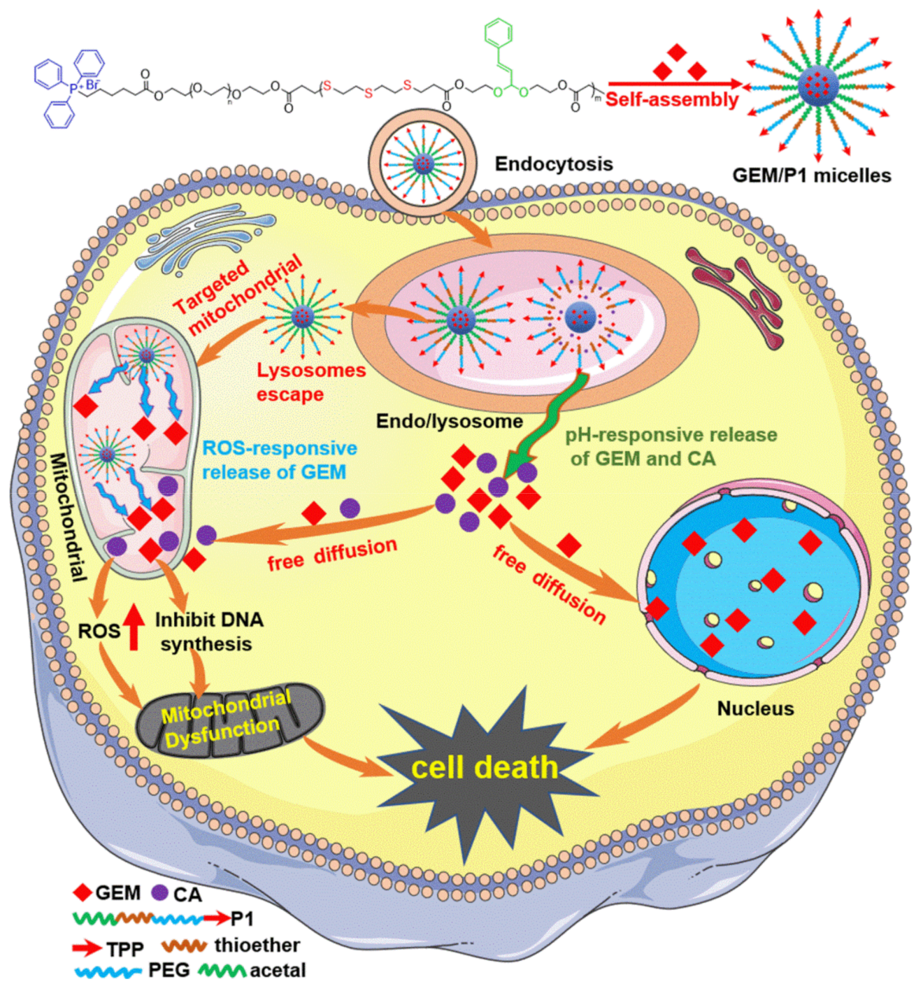 Ijms 23 12624 sch001 Ijms 23 12624 sch001