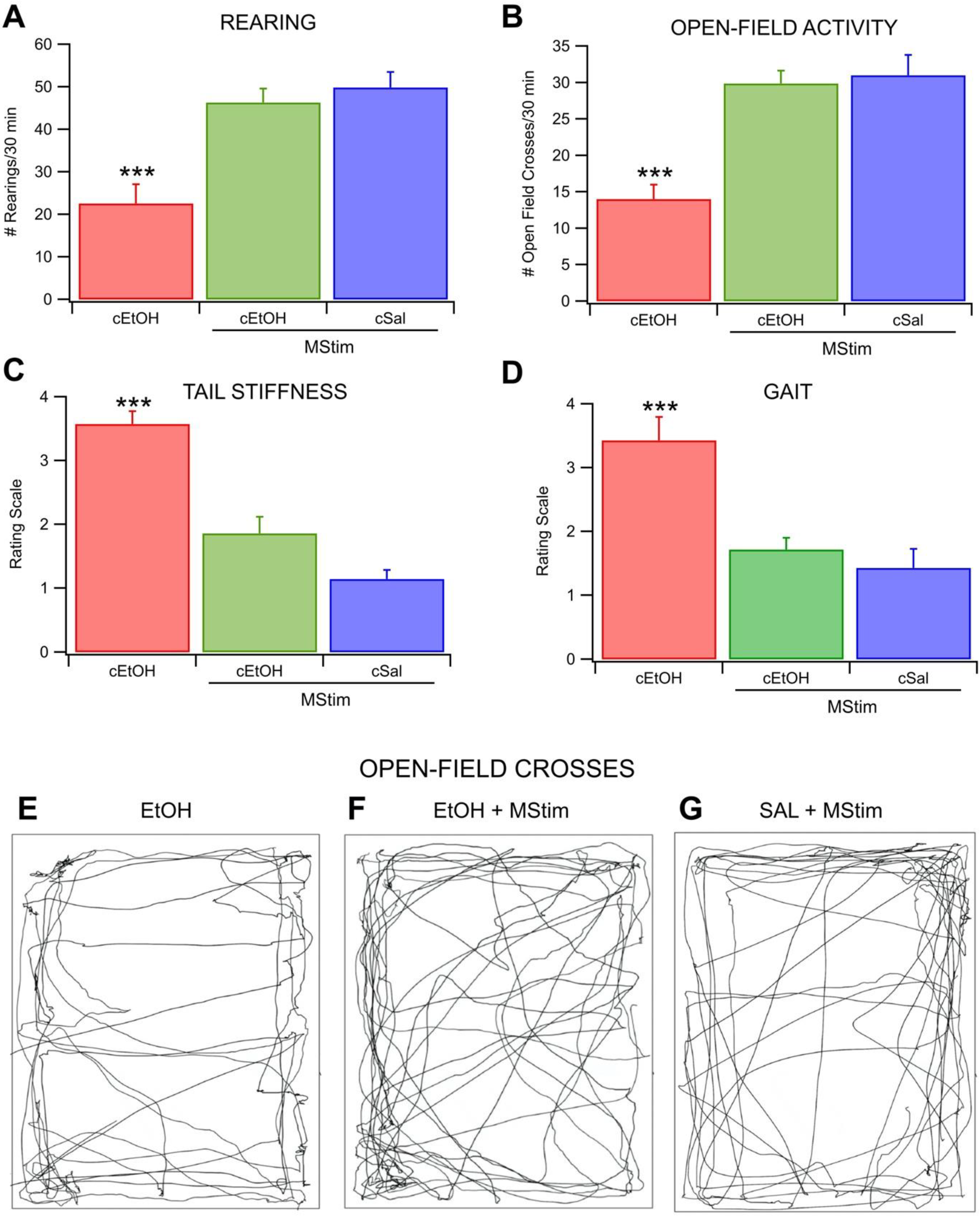 Ijms 23 12630 g004 Ijms 23 12630 g004