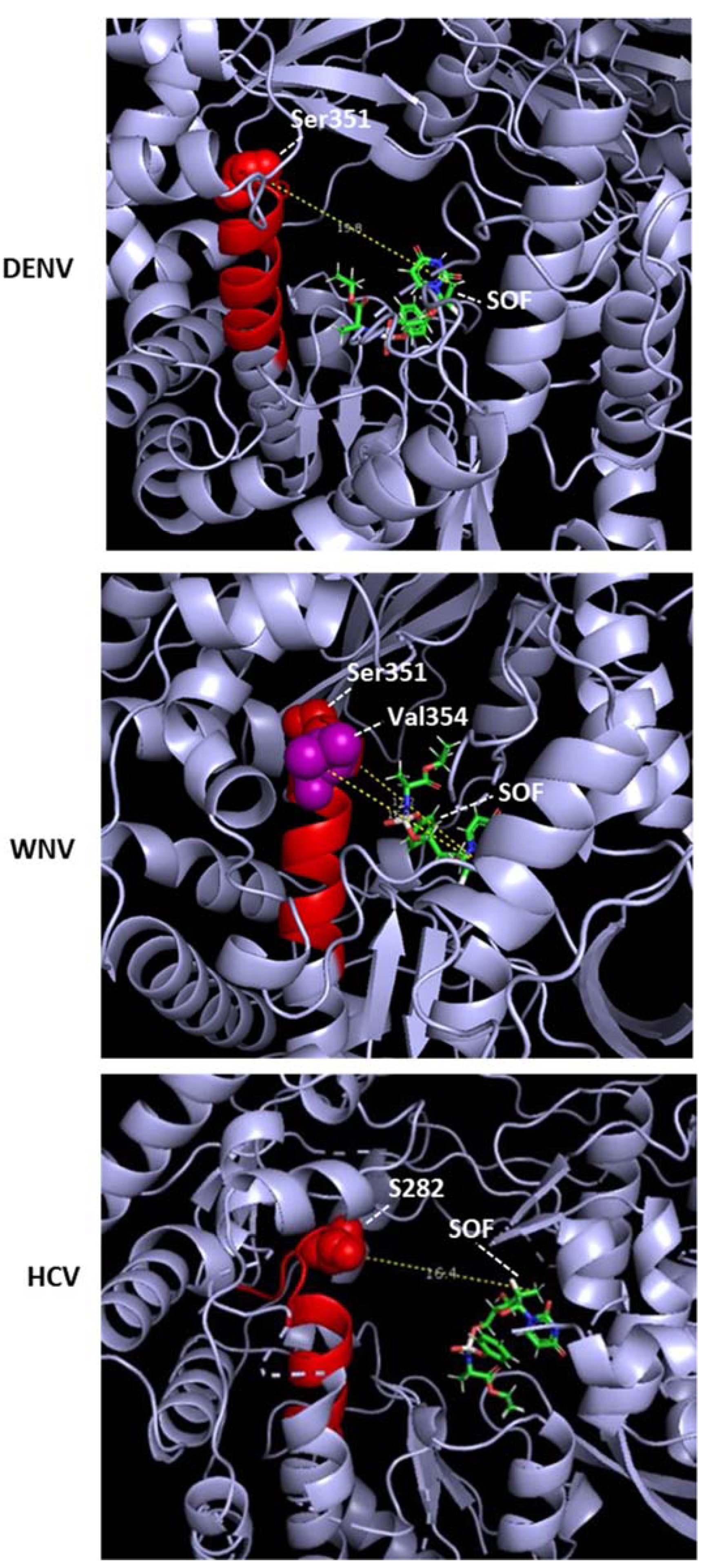 Ijms 23 12649 g005 Ijms 23 12649 g005