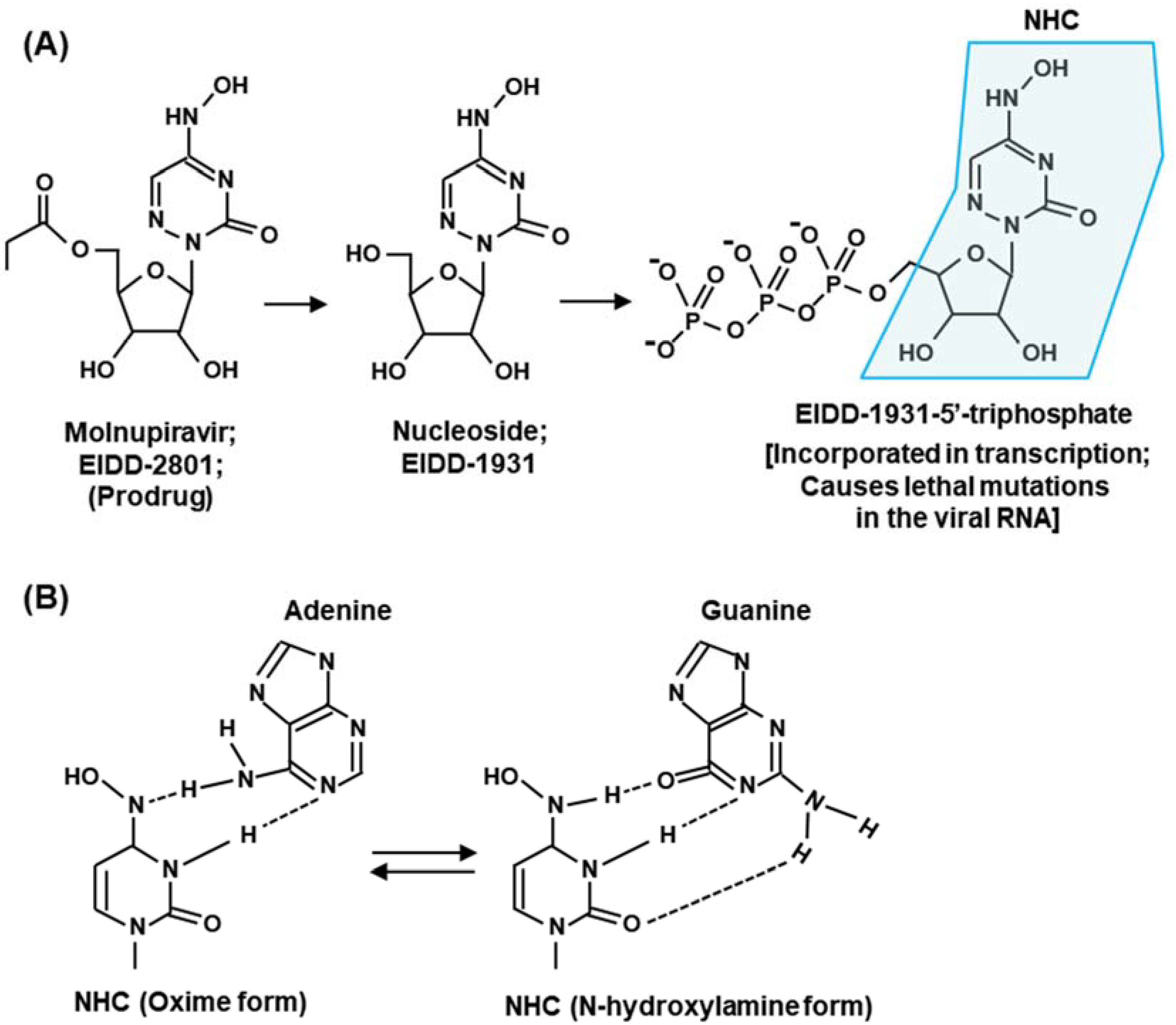 Ijms 23 12649 g006 Ijms 23 12649 g006