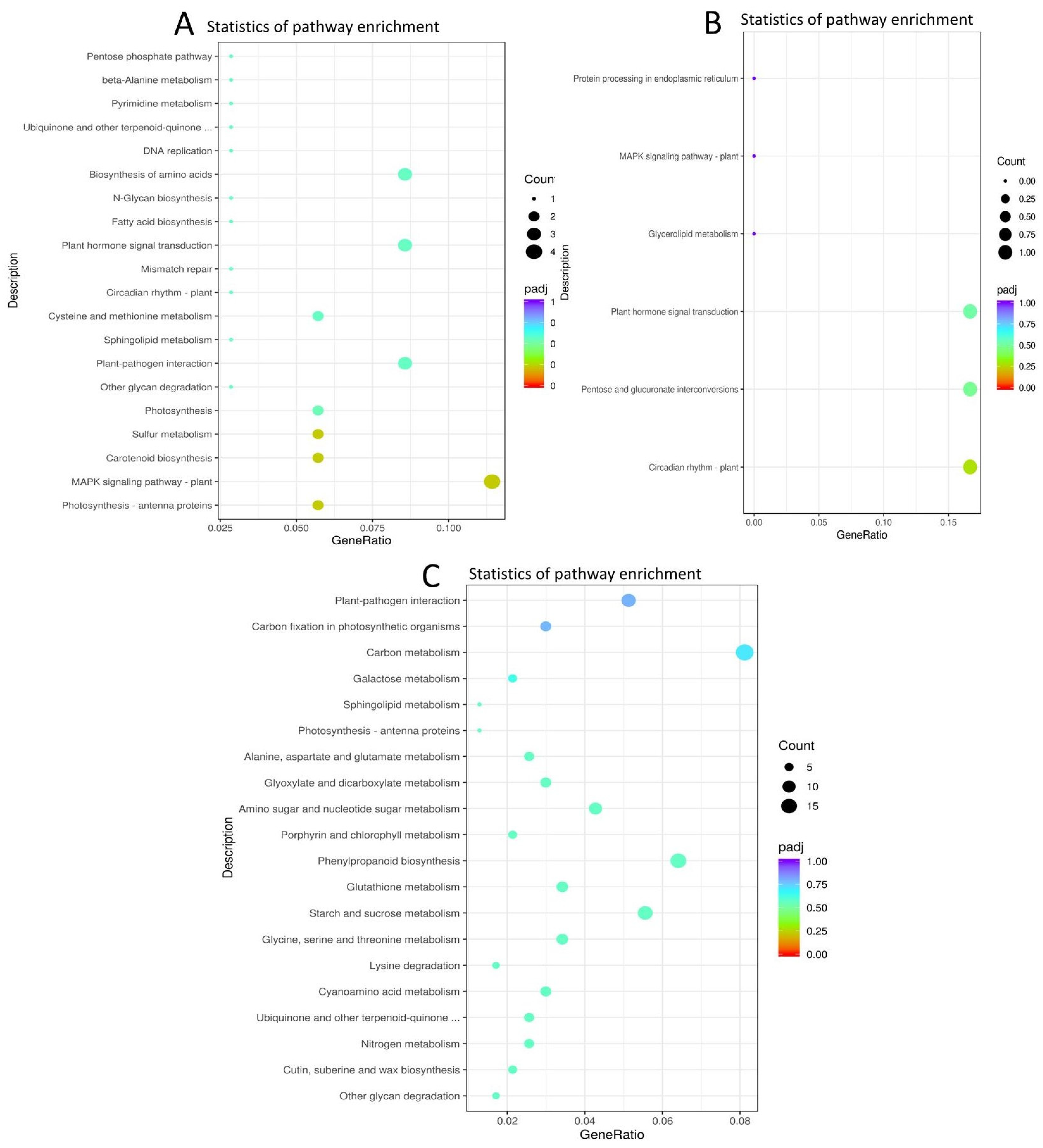 Ijms 23 12650 g004 Ijms 23 12650 g004