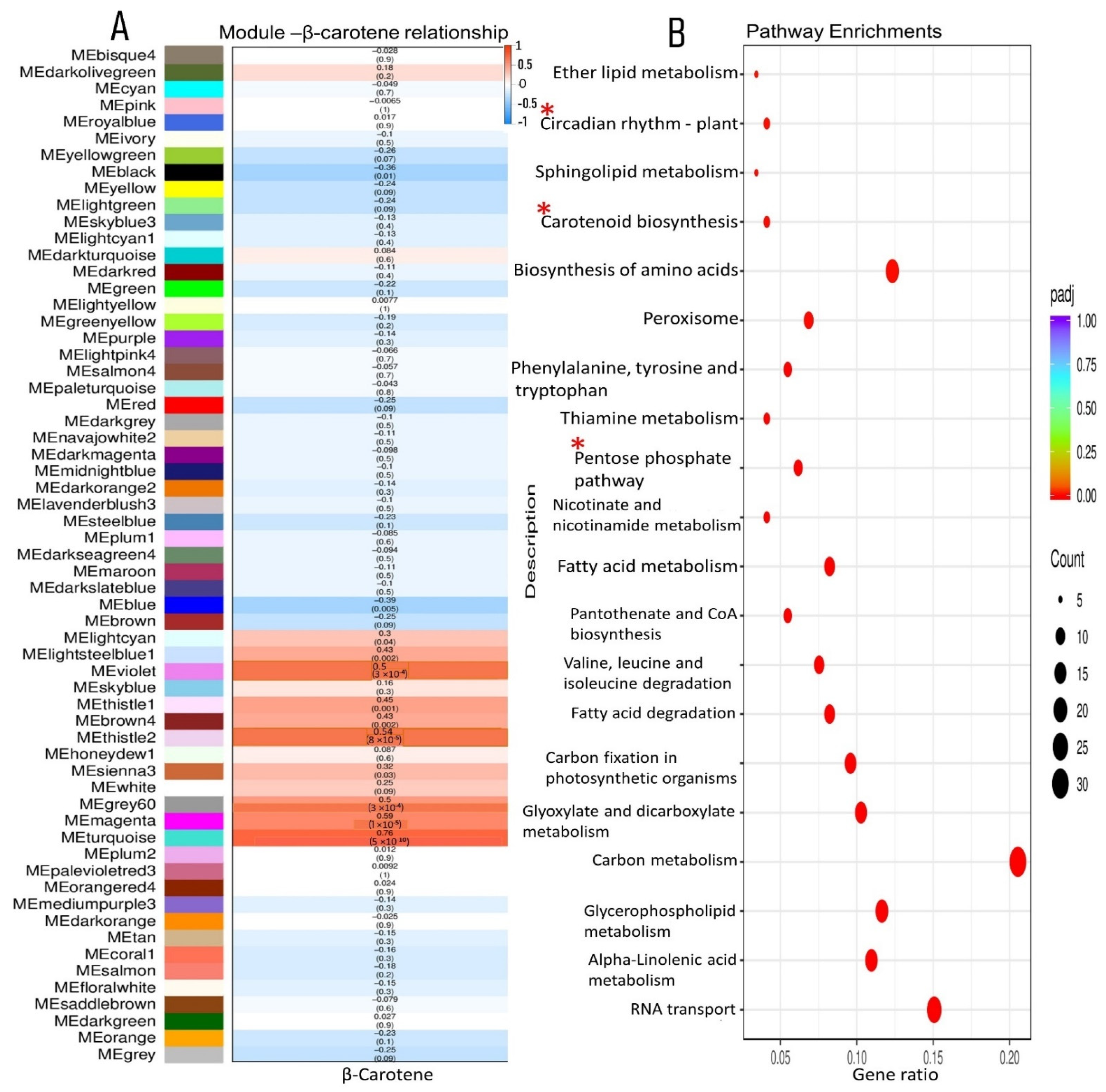 Ijms 23 12650 g008 Ijms 23 12650 g008