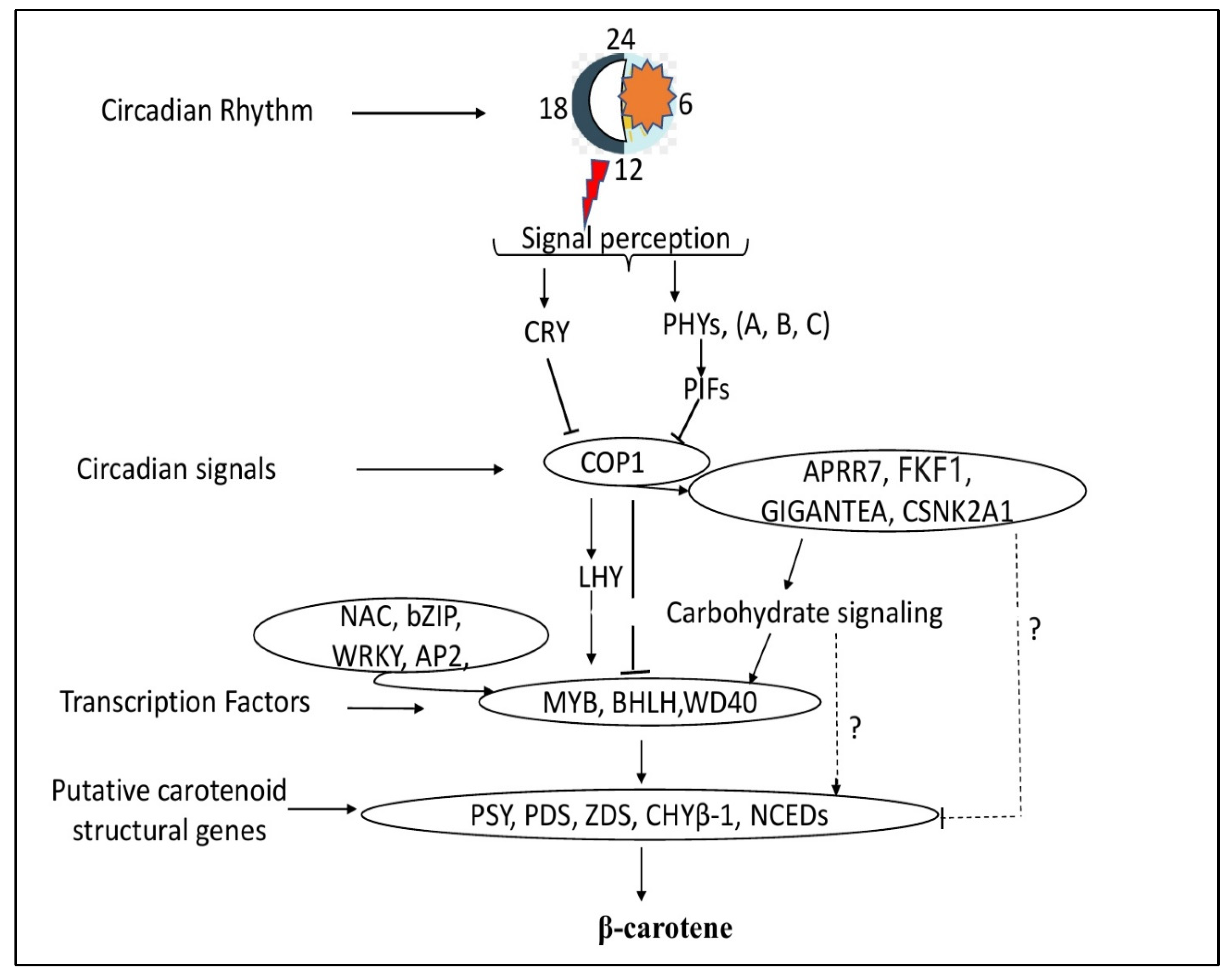 Ijms 23 12650 g010 Ijms 23 12650 g010