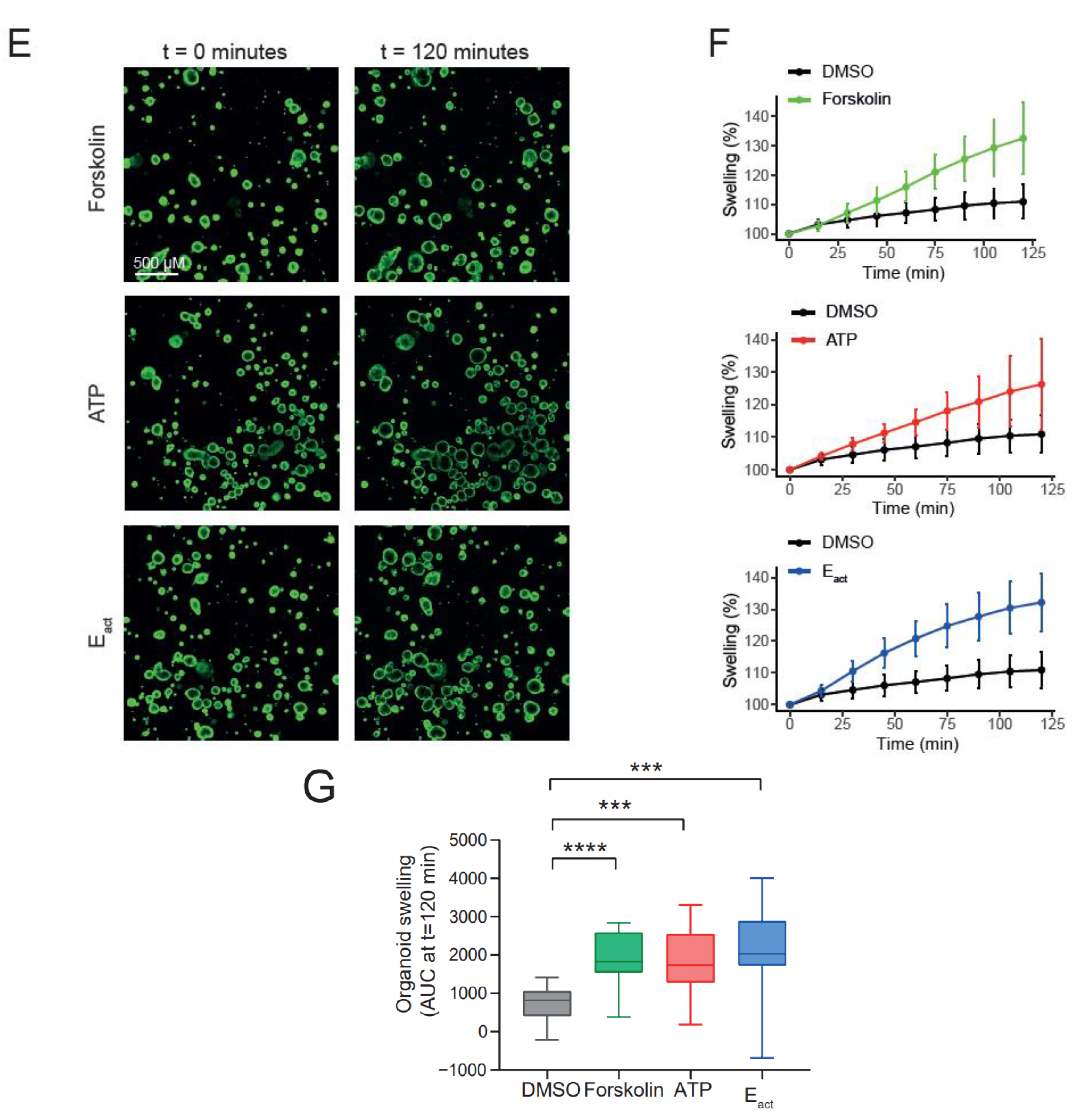 Ijms 23 12657 g001b Ijms 23 12657 g001b
