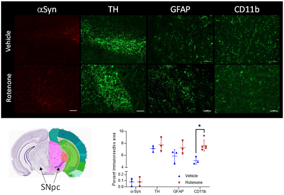 Ijms 23 12658 g003 Ijms 23 12658 g003