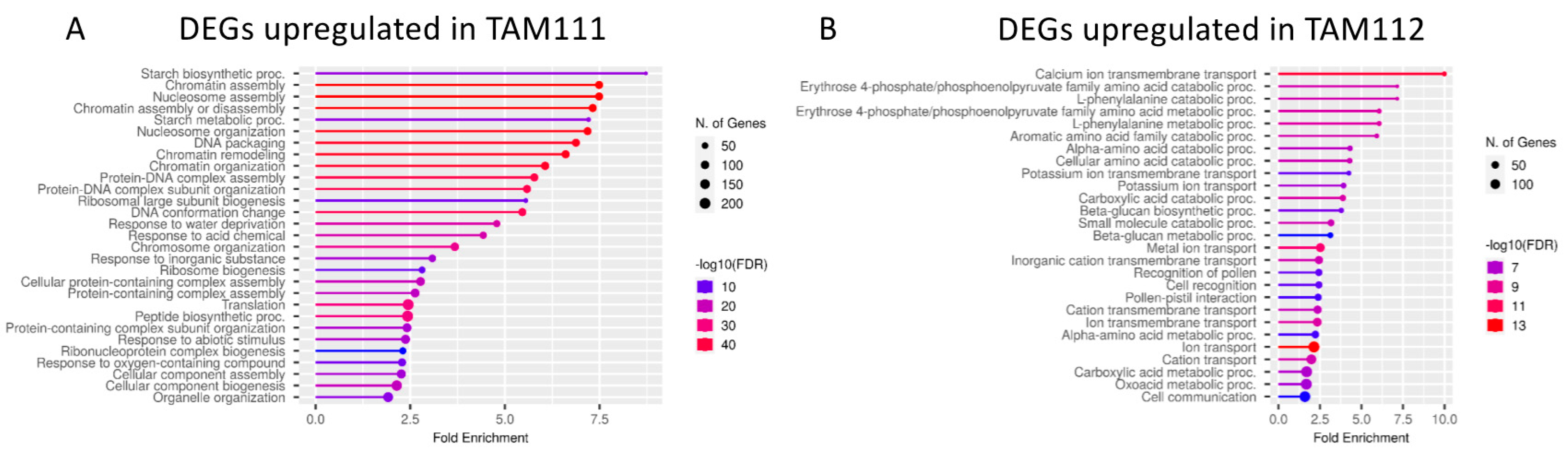 Ijms 23 12660 g002 Ijms 23 12660 g002