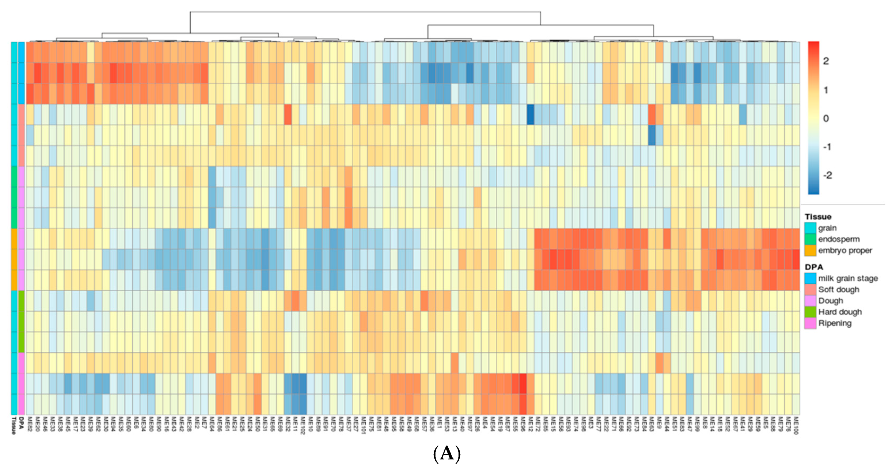 Ijms 23 12660 g004a Ijms 23 12660 g004a