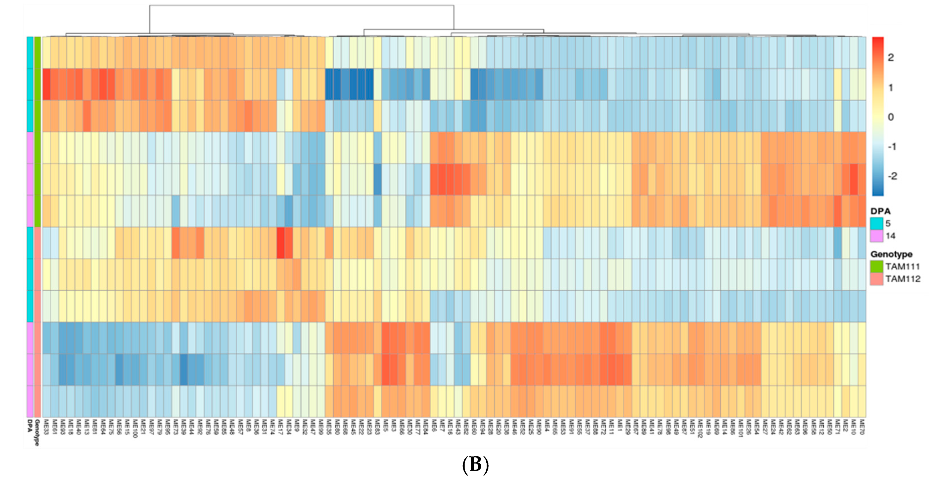 Ijms 23 12660 g004b Ijms 23 12660 g004b