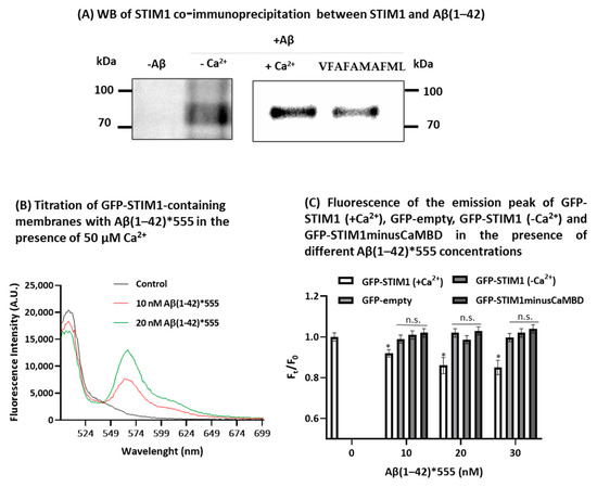 Endocytic uptake of monomeric amyloid-β peptides is clathrin- and  dynamin-independent and results in selective accumulation of Aβ(1–42)  compared to Aβ(1–40)