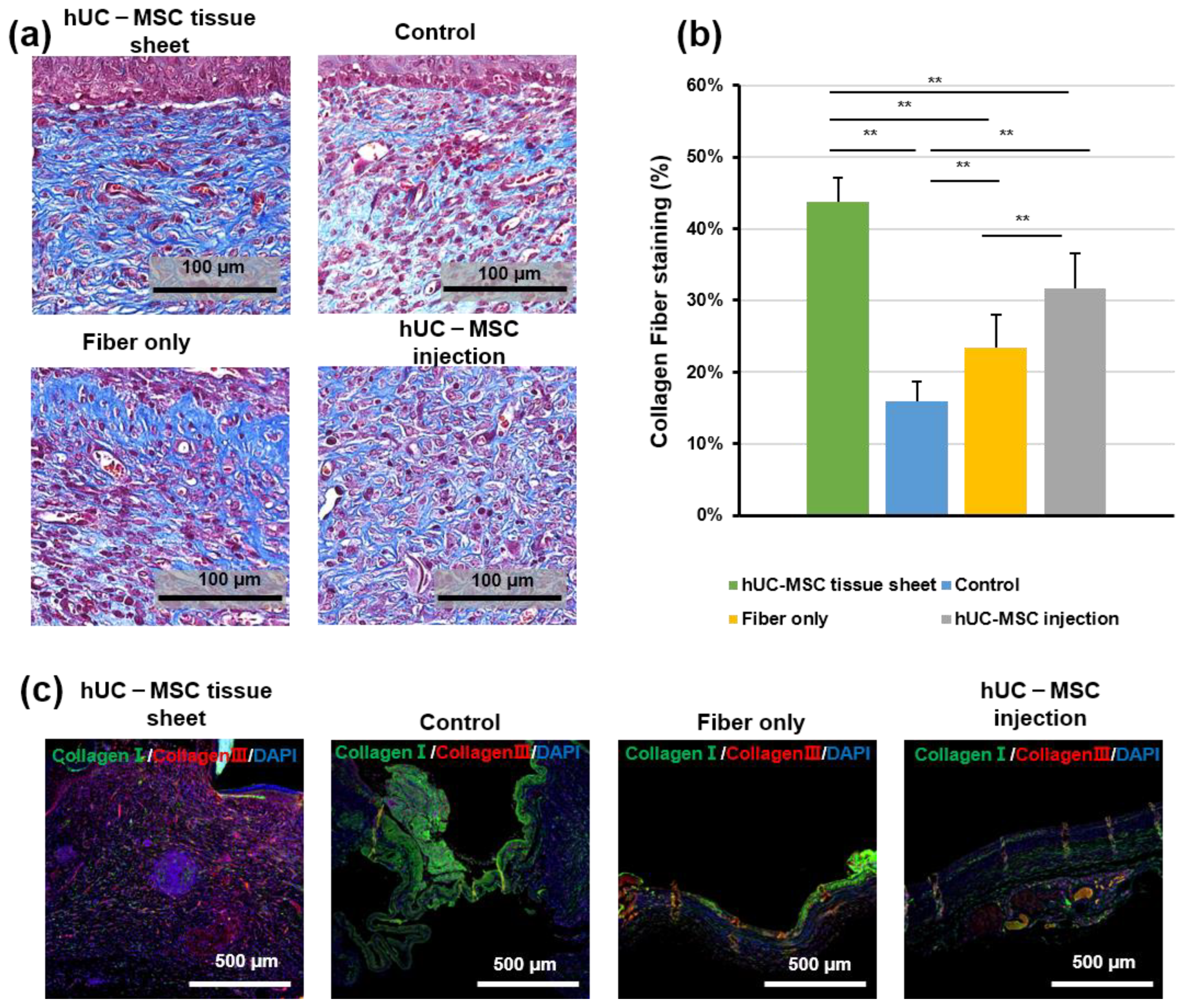 Ijms 23 12697 g004 Ijms 23 12697 g004