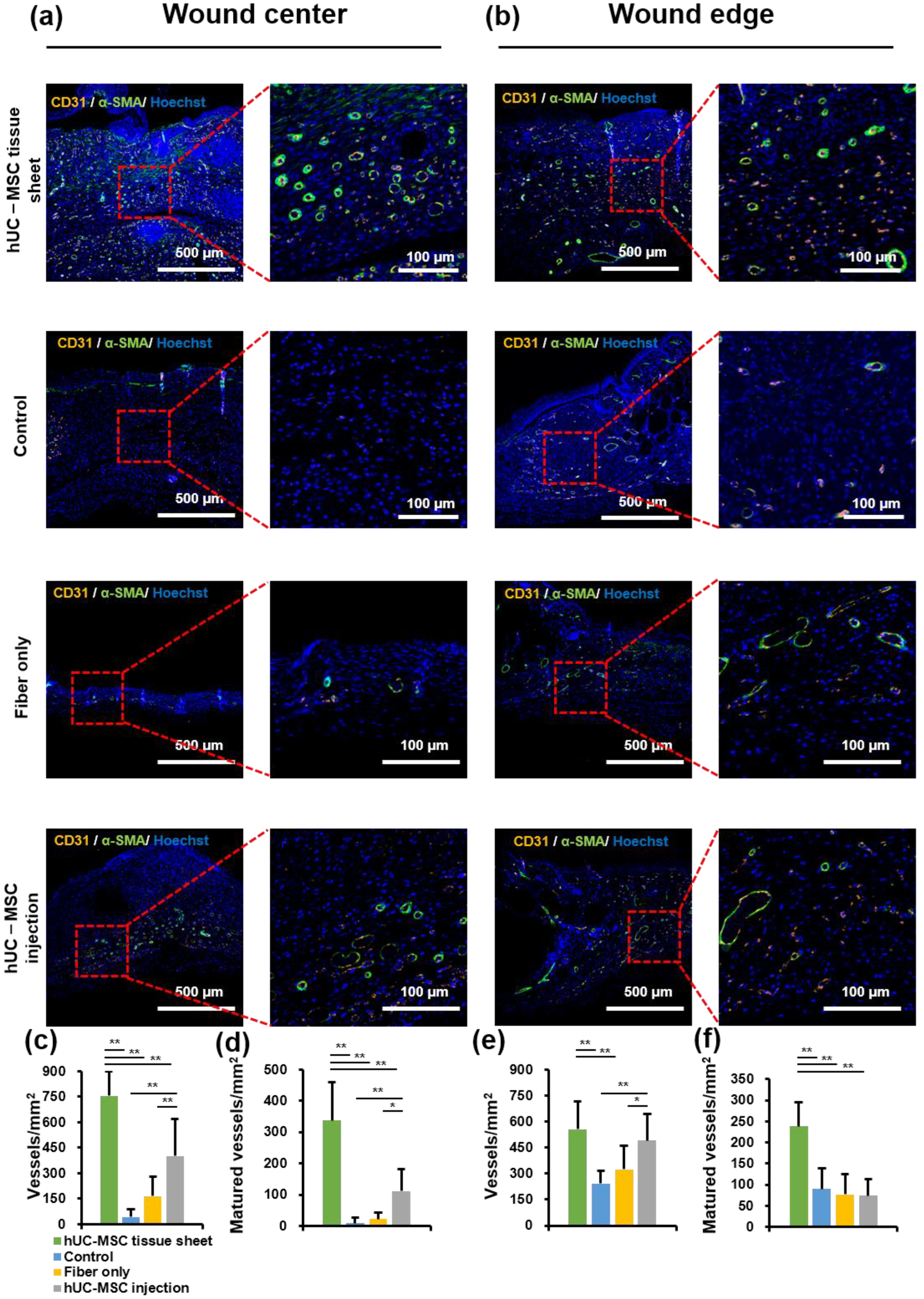 Ijms 23 12697 g005 Ijms 23 12697 g005
