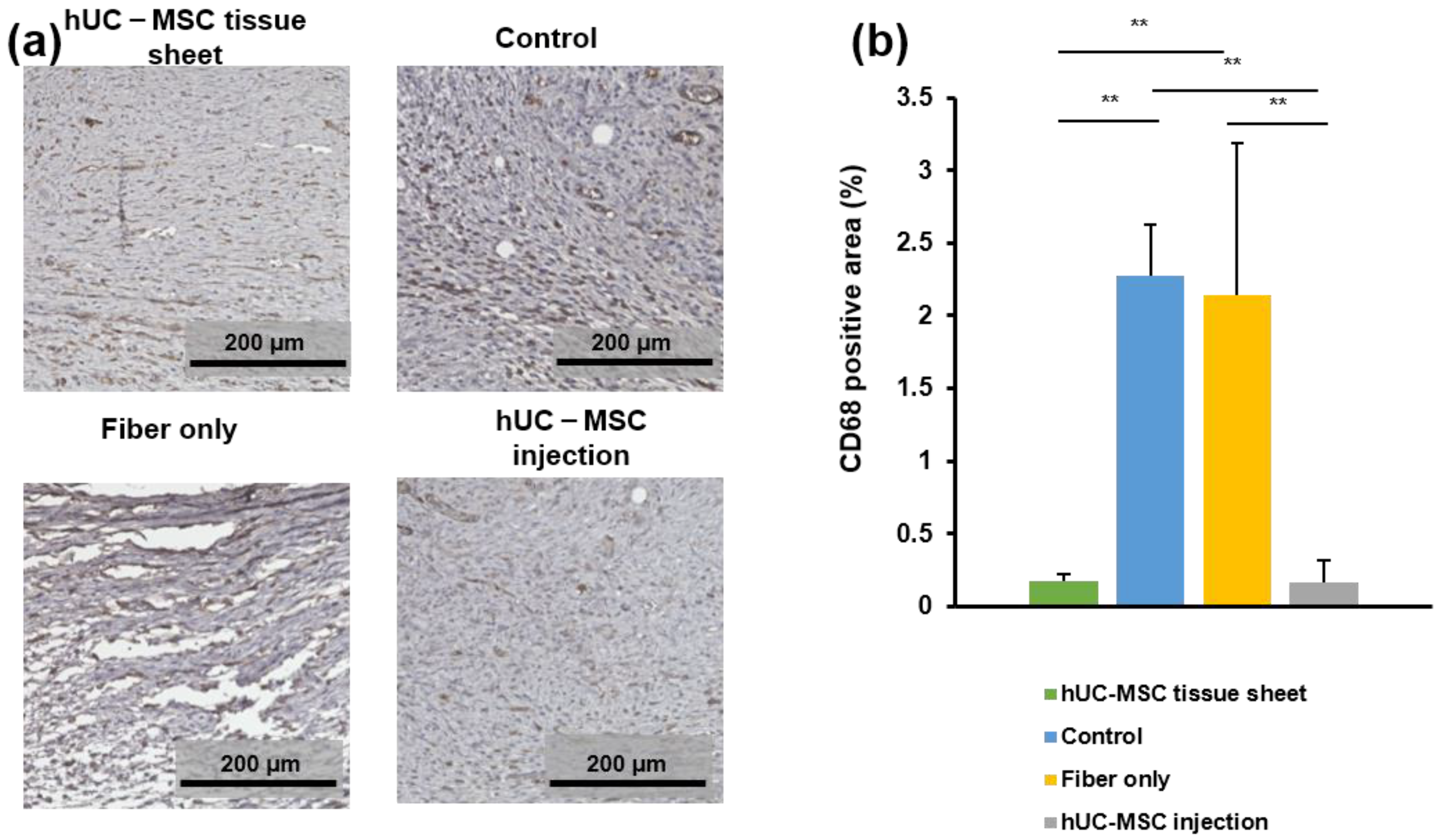 Ijms 23 12697 g006 Ijms 23 12697 g006